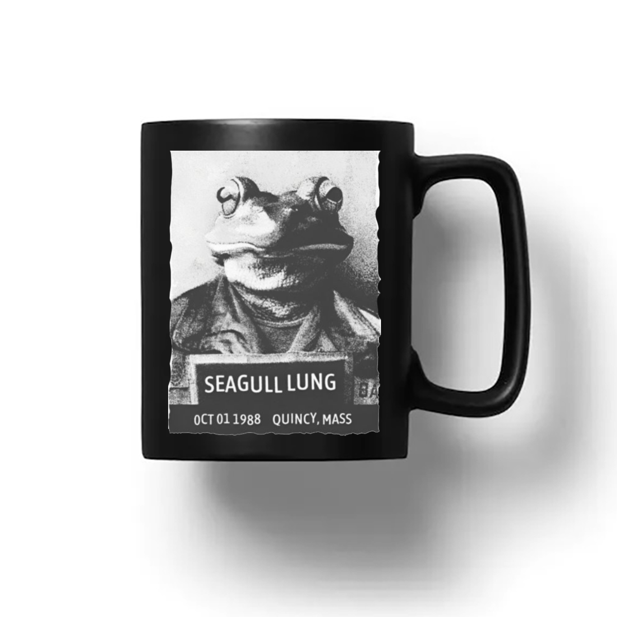 Mrballen Wearing Seagull Lung Quincy Mass Shirt Mrballen Wearing Seagull Lung Quincy Mass Shirt