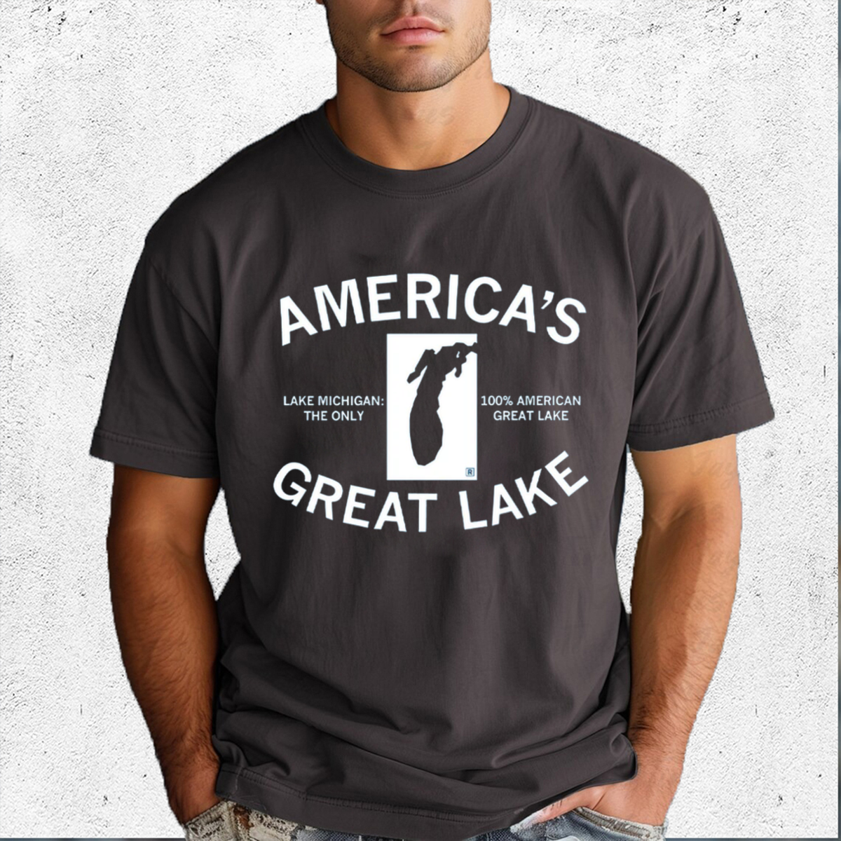 Lake Michigan America Great Lake Shirt