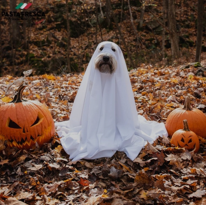 Why Do People Cosplay at Halloween? 2 Picturestees Customized Gifts