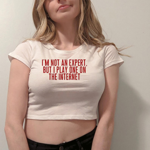 I'm Not An Expert But I Play One On The Internet Shirt