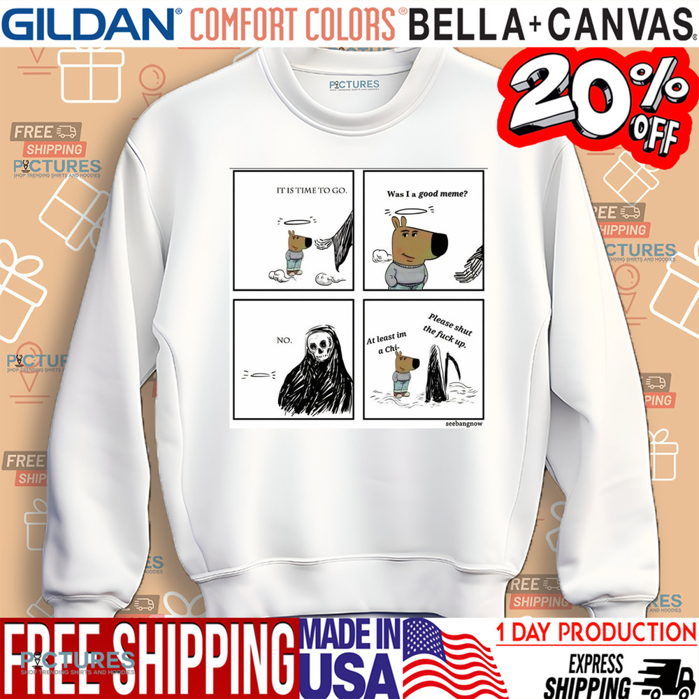 Chill Guy And Grim Reaper It Is Time To Go Was I A Good Meme Shirt