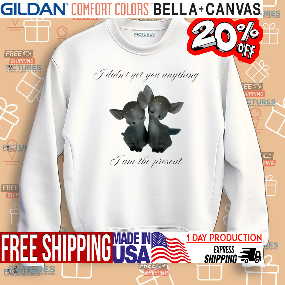 I Didn’t Get You Anything I Am The Present Shirt