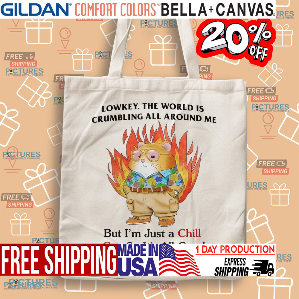 Lowkey The World Is Crumbling All Around Me But I'm Just A Chill Guy So It's All Good Shirt