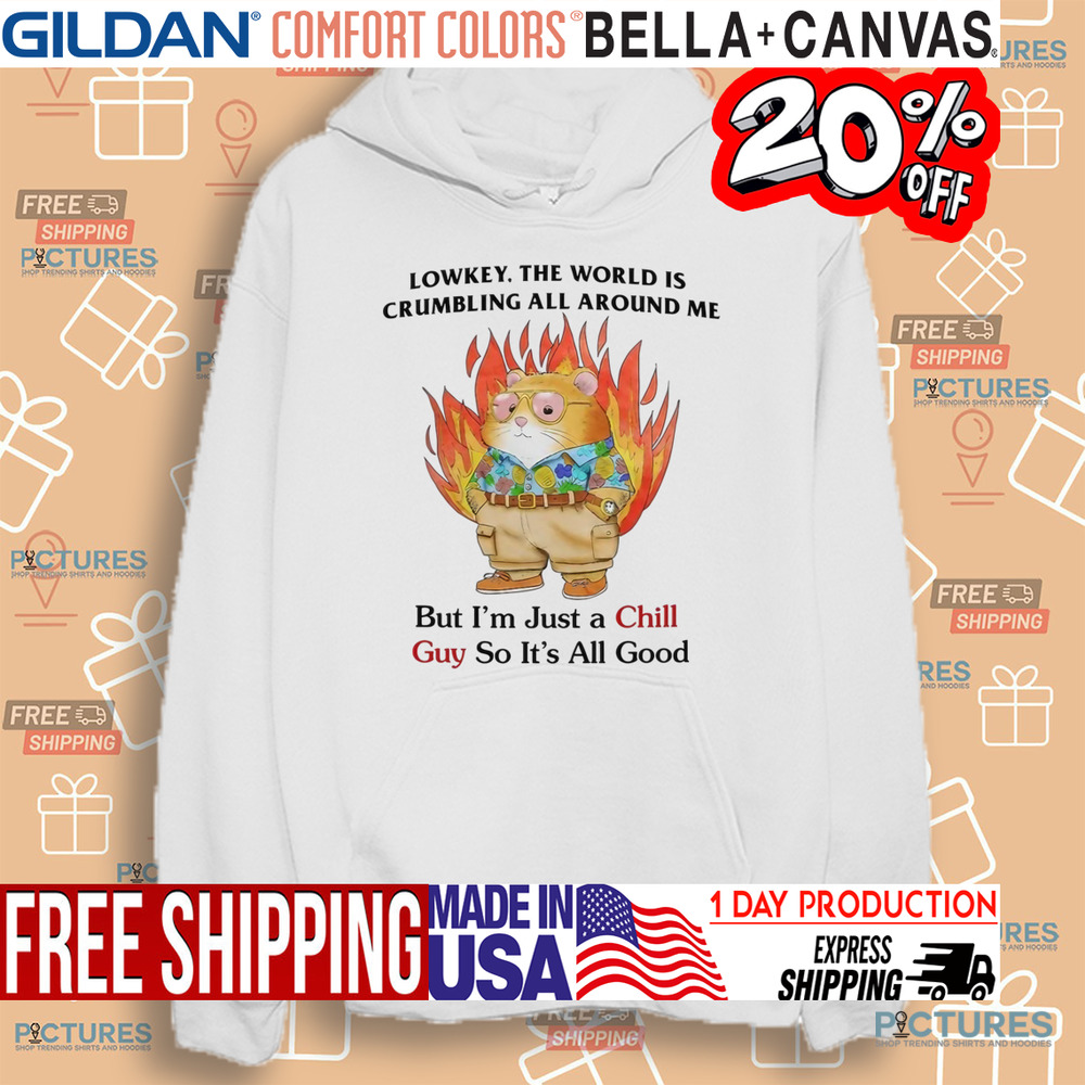 Lowkey The World Is Crumbling All Around Me But I'm Just A Chill Guy So It's All Good Shirt