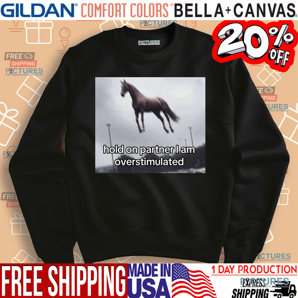 Flying Horse Hold On Partner I Am Overstimulated Shirt
