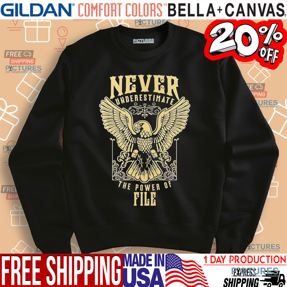 Never Underestimate The Power Of File shirt