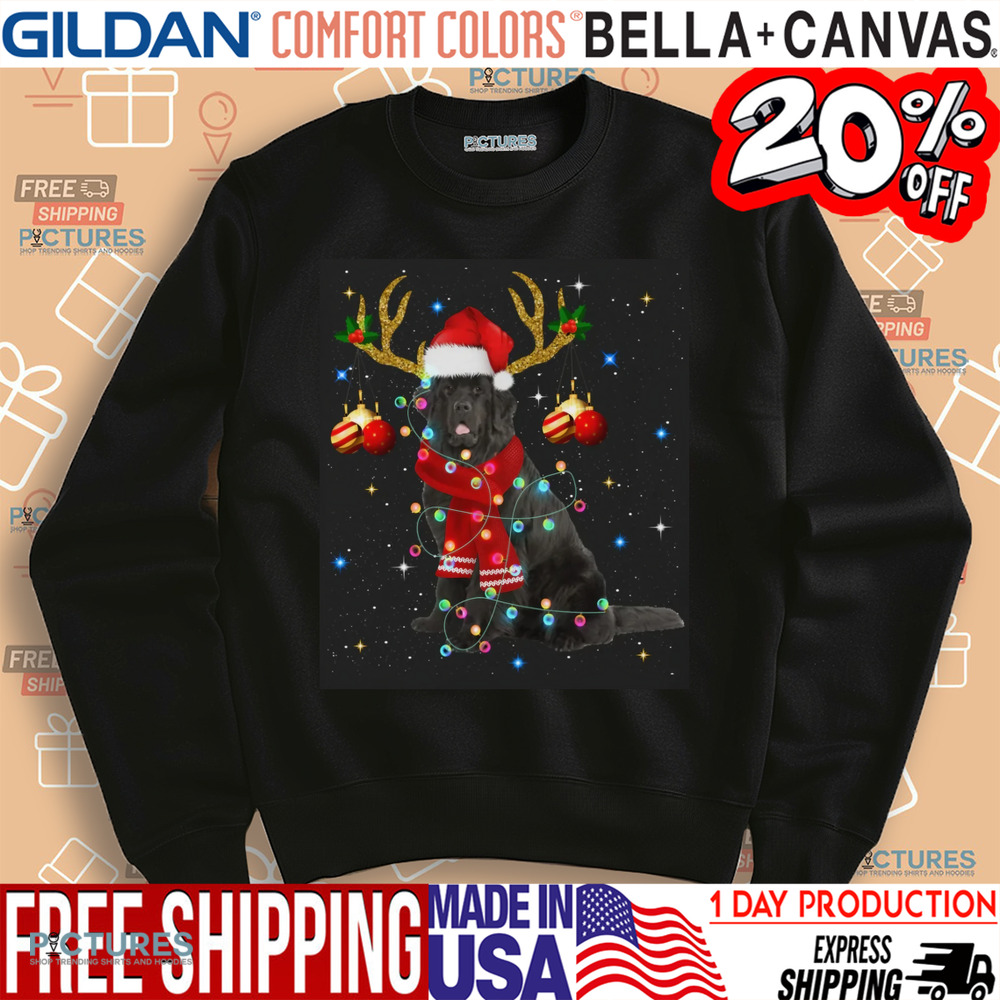 Newfoundland Dog Santa Christmas Day Shirt
