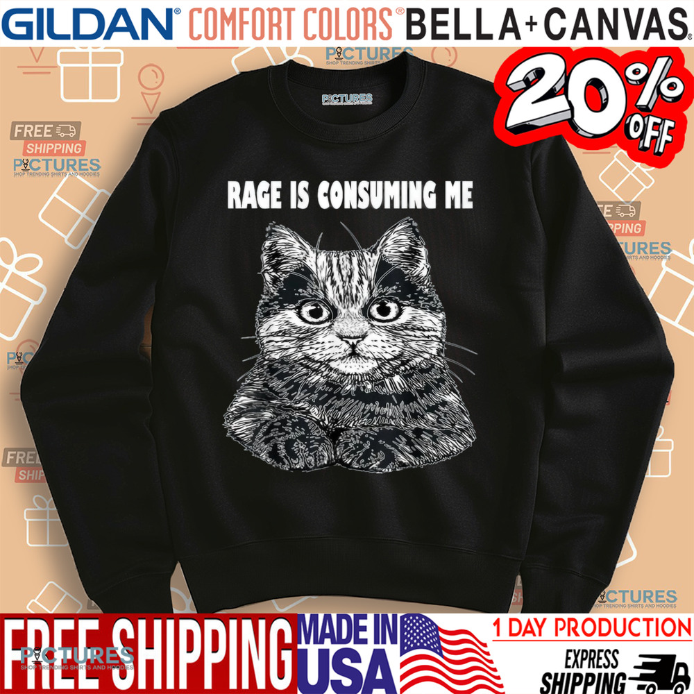 Rage Is Consuming Me Silly Staring Cat Meme Shirt