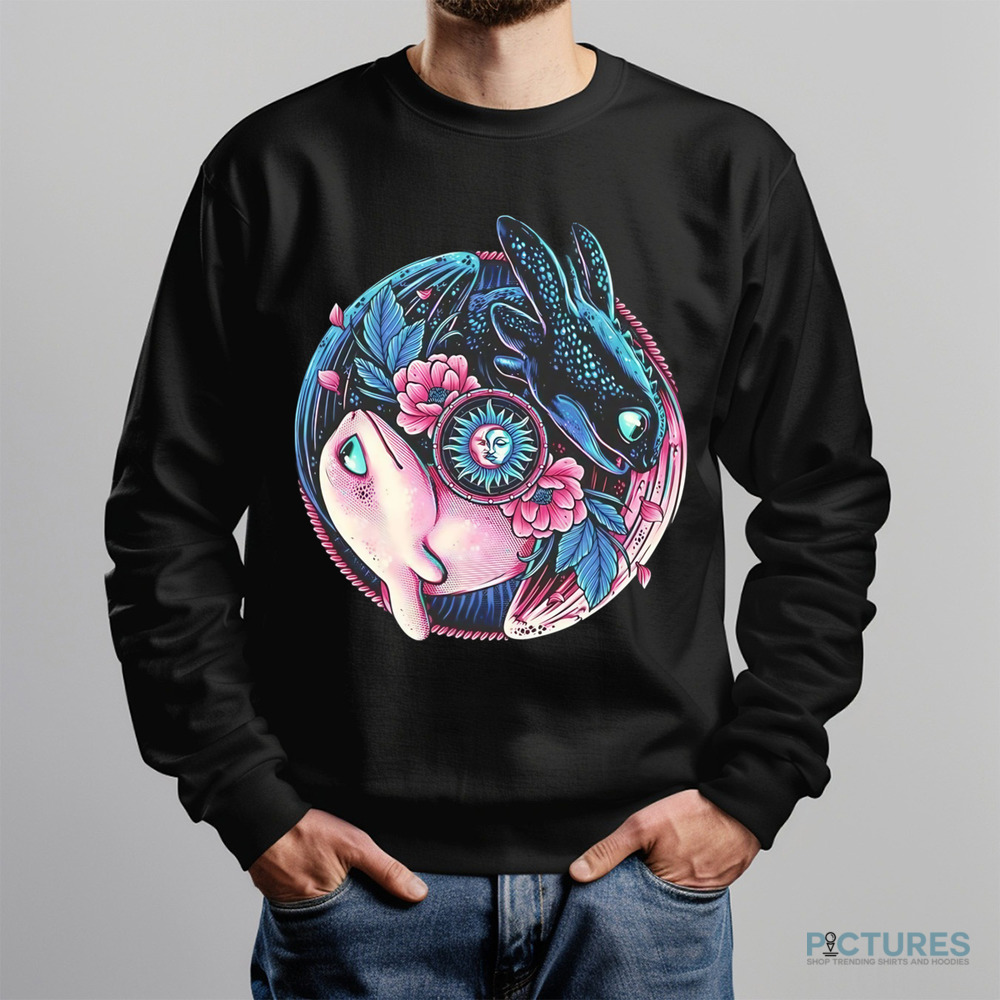 Dragons How to Train Your Dragon Night Fury and Light Fury shirt
