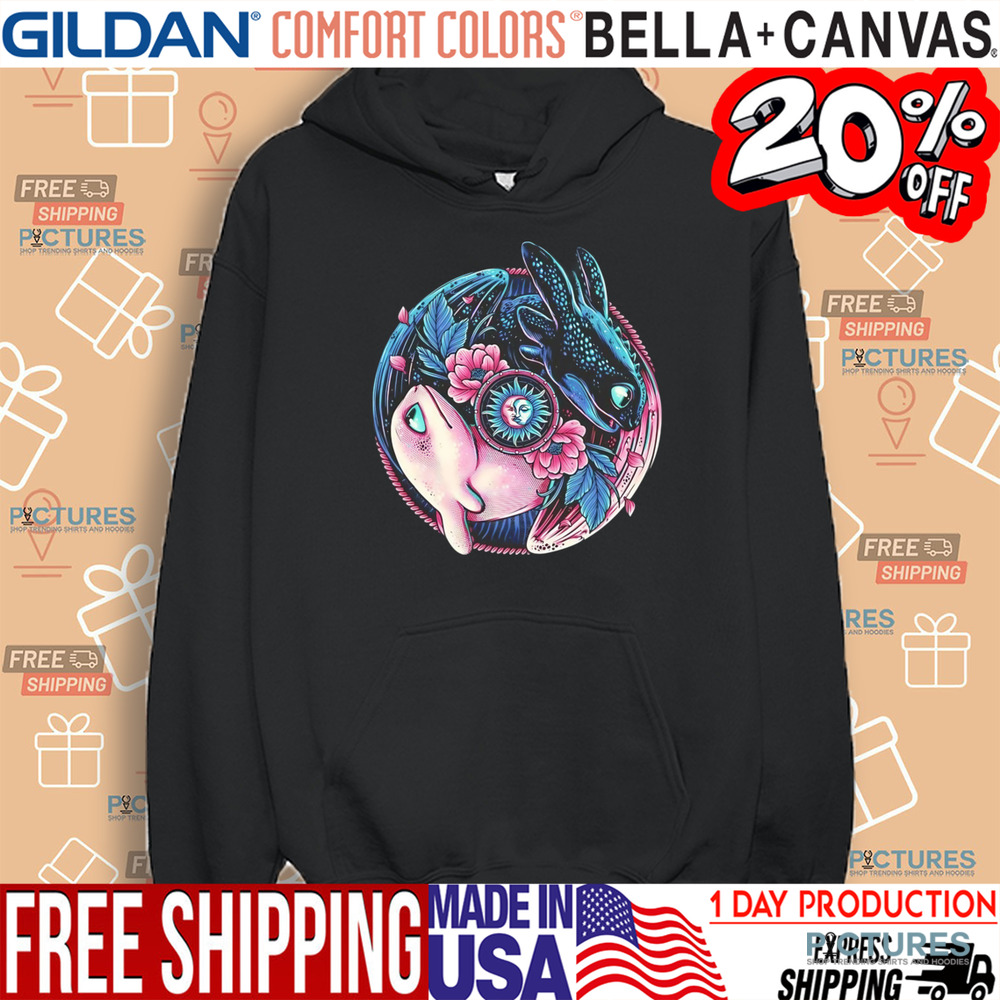 Dragons How to Train Your Dragon Night Fury and Light Fury shirt