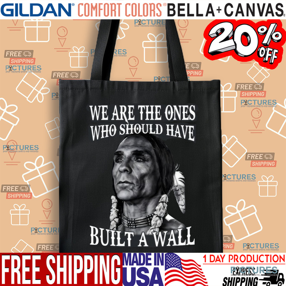 Native America We Are The Ones Who Should Have Built A Wall Shirt
