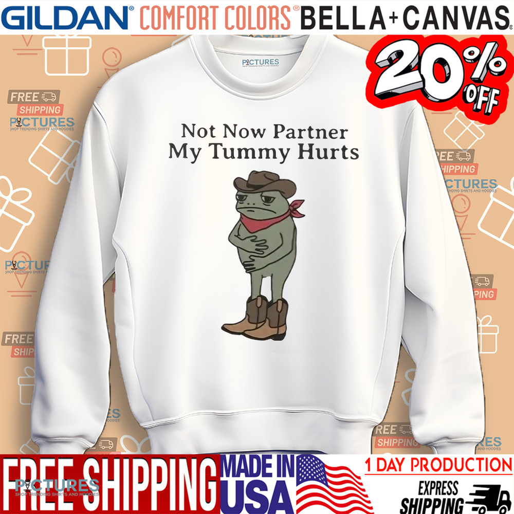 Not Now Partner My Tummy Hurts Shirt