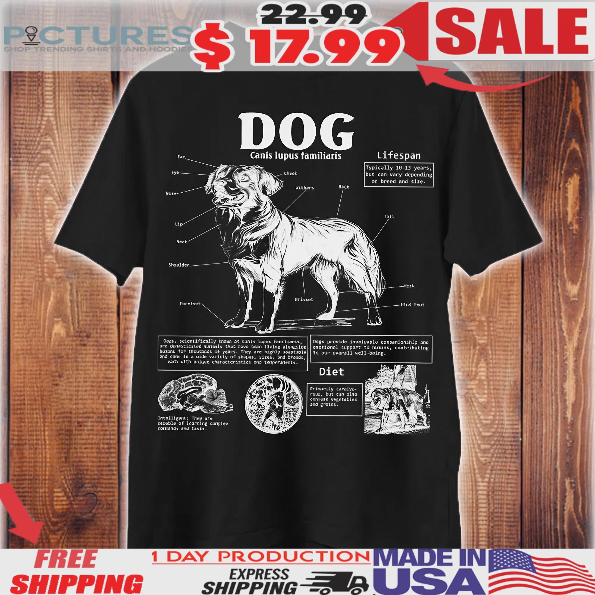 Canis Lupus Familiaris Dog Anatomy Animal Knowledge Dog Biology Novelty Graphic Shirt