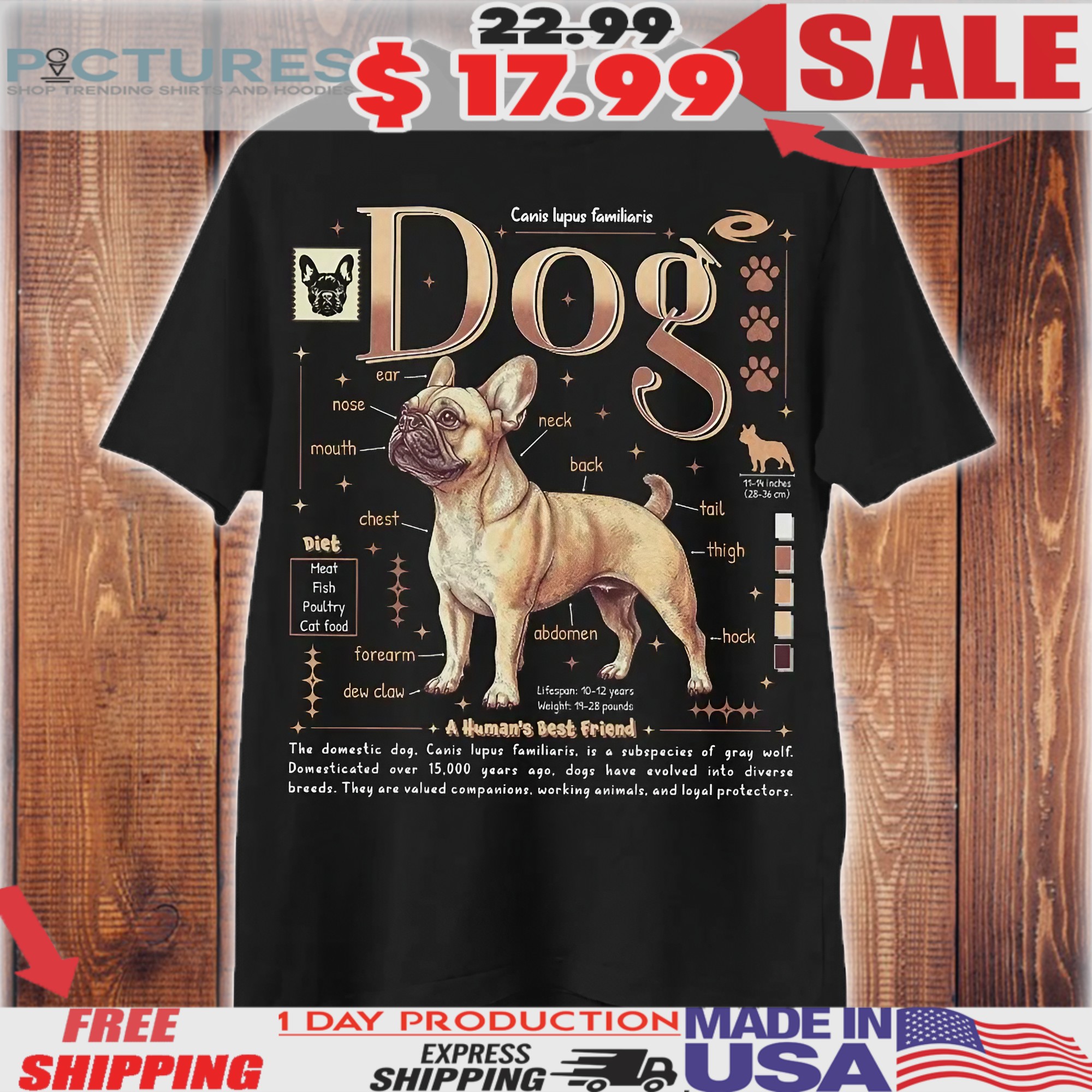 Canis lupus familiaris Bulldog Anatomy Animal Knowledge Dog Biology Novelty Graphic Shirt