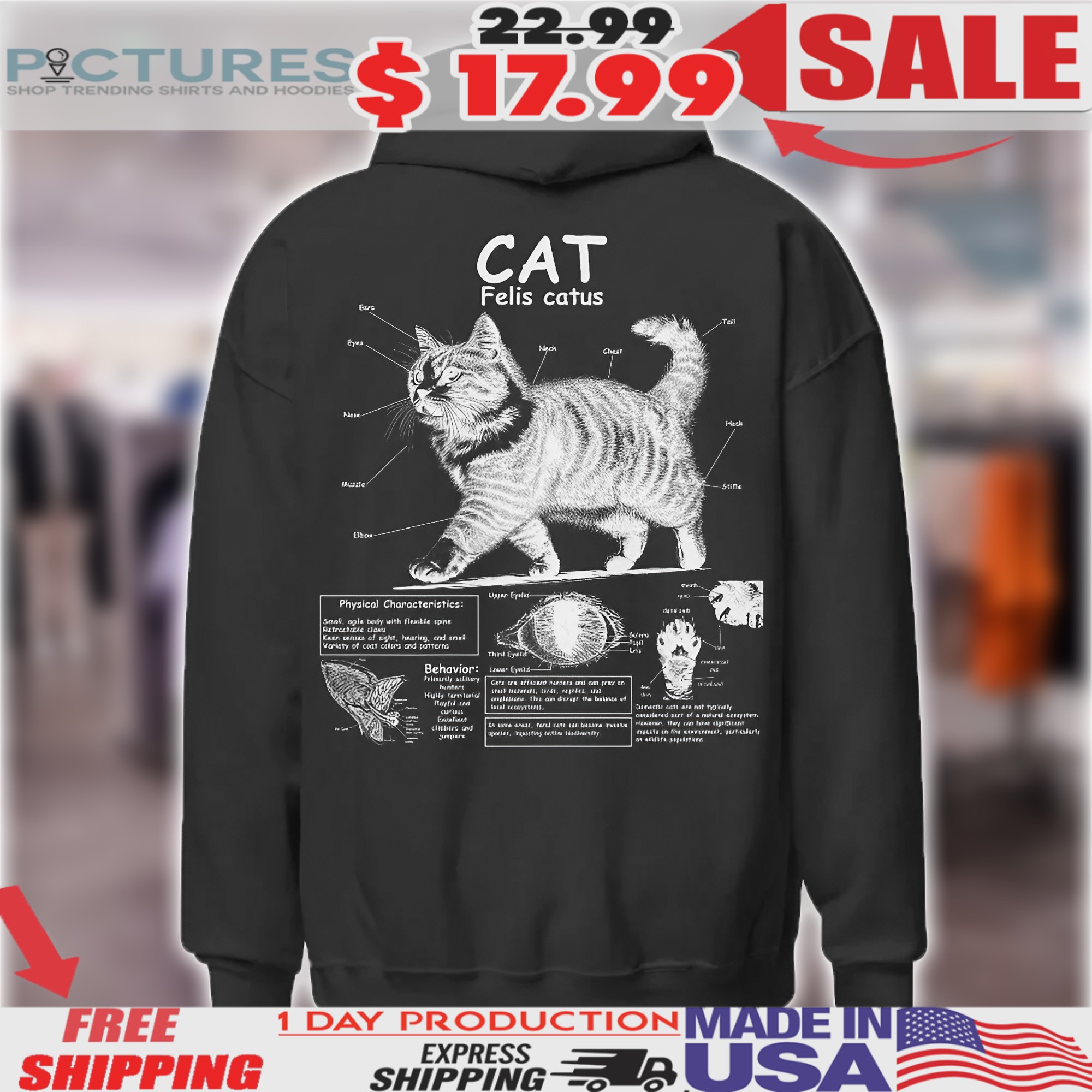 Cat Anatomy Knowledge Cat Biology Novelty Graphic Shirt