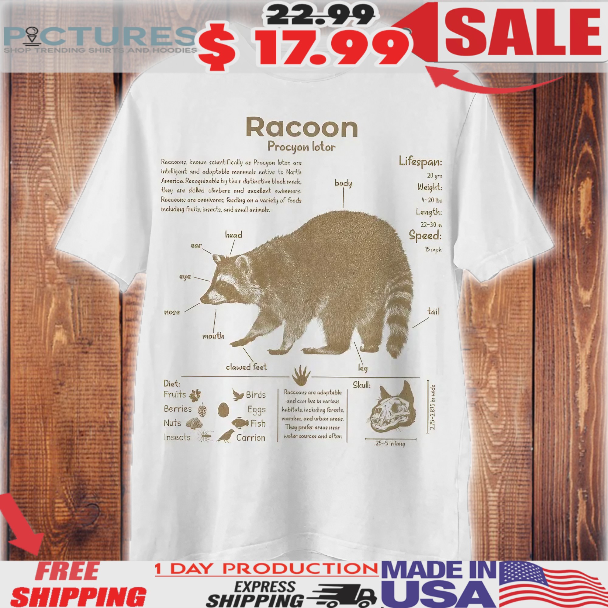 Raccoon Procyon Lotor Anatomy Animal Knowledge Racoon Biology Novelty Graphic Shirt