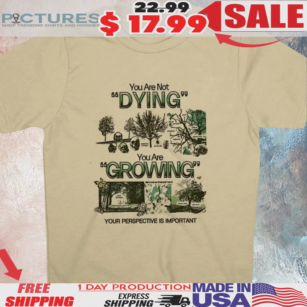 You Are Not Dying You're Growing Your Perspective Is Important Shirt