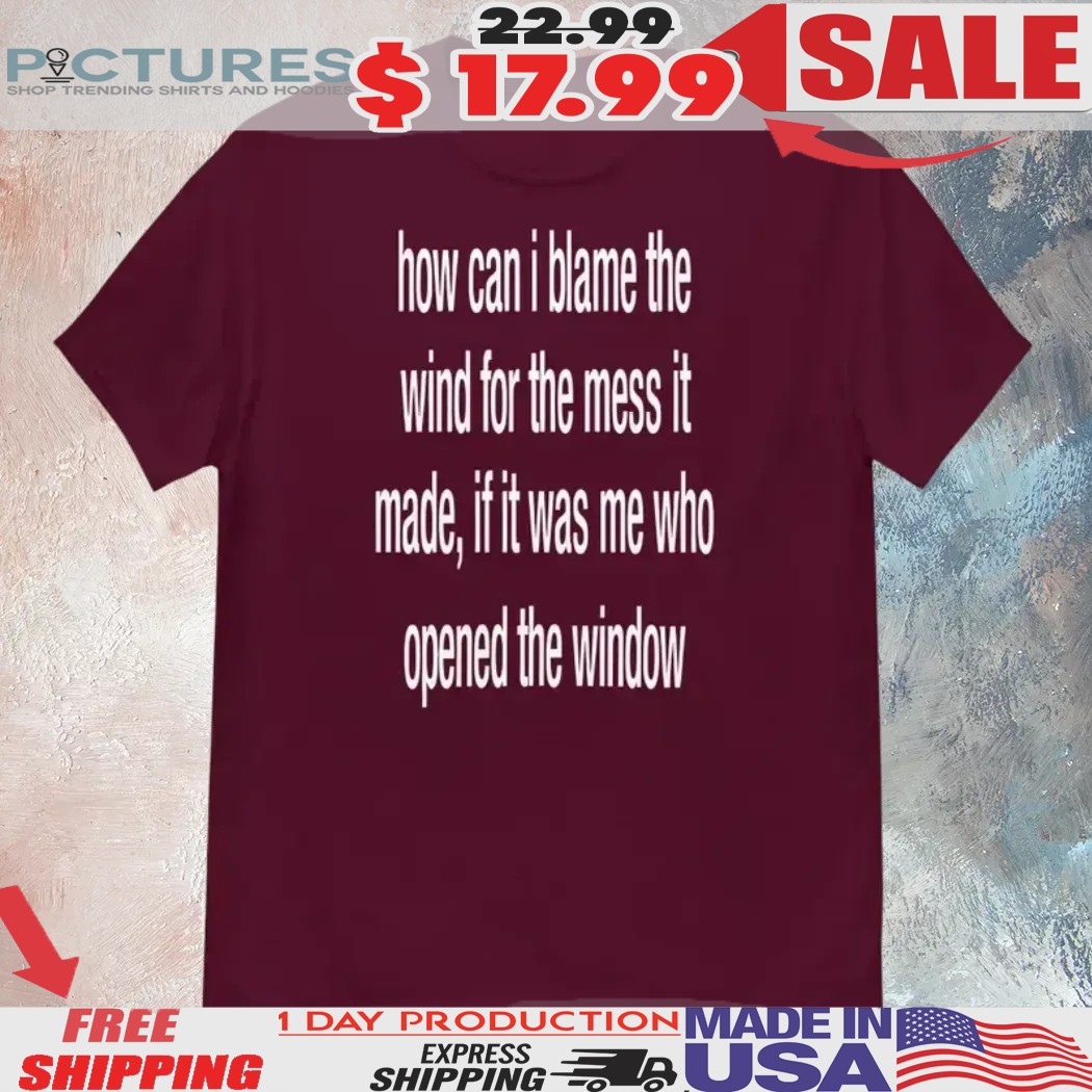 How Can I Blame The Wind For The Mess It Made Shirt