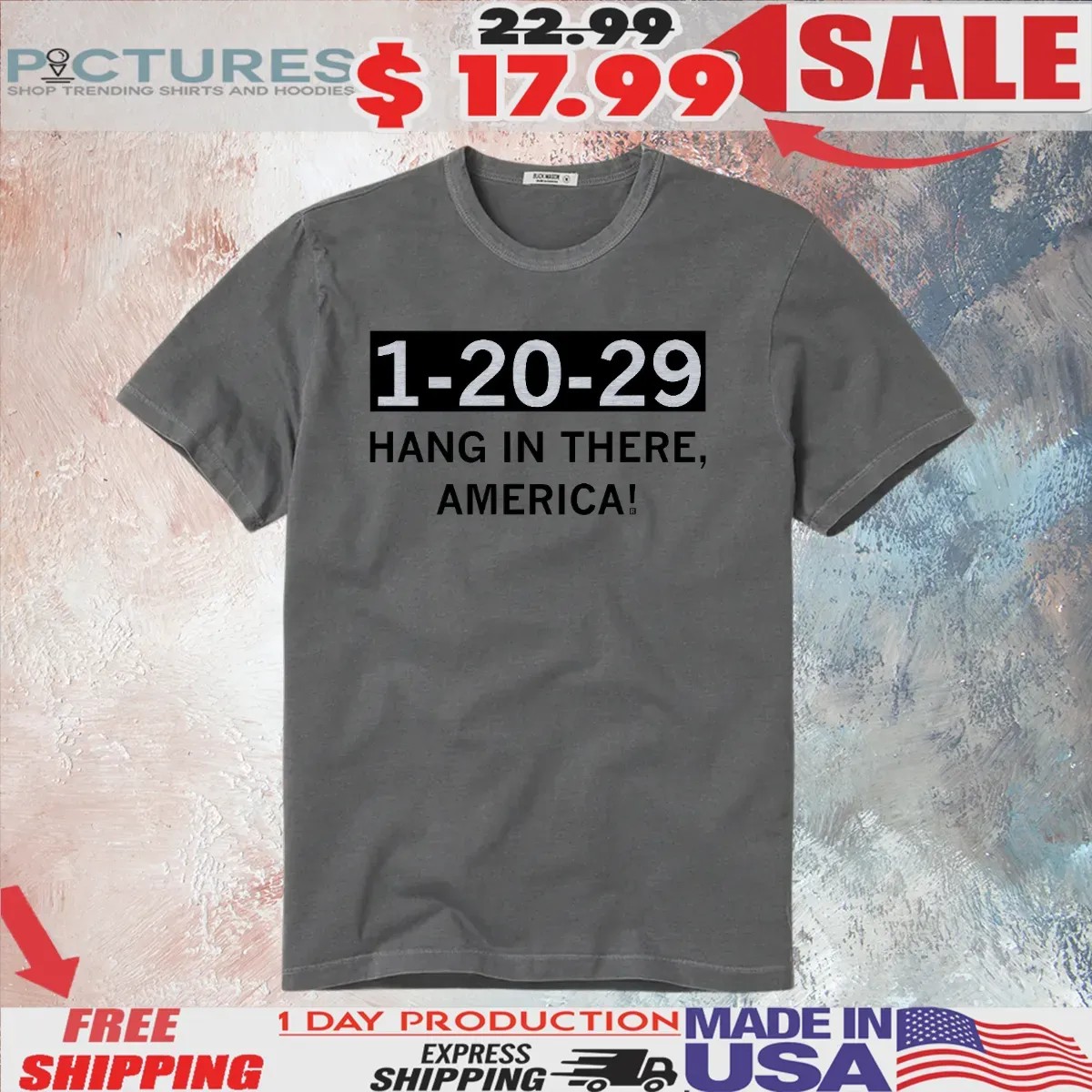 Hang In There America Inauguration Day 20 Jan 2029 T Shirt