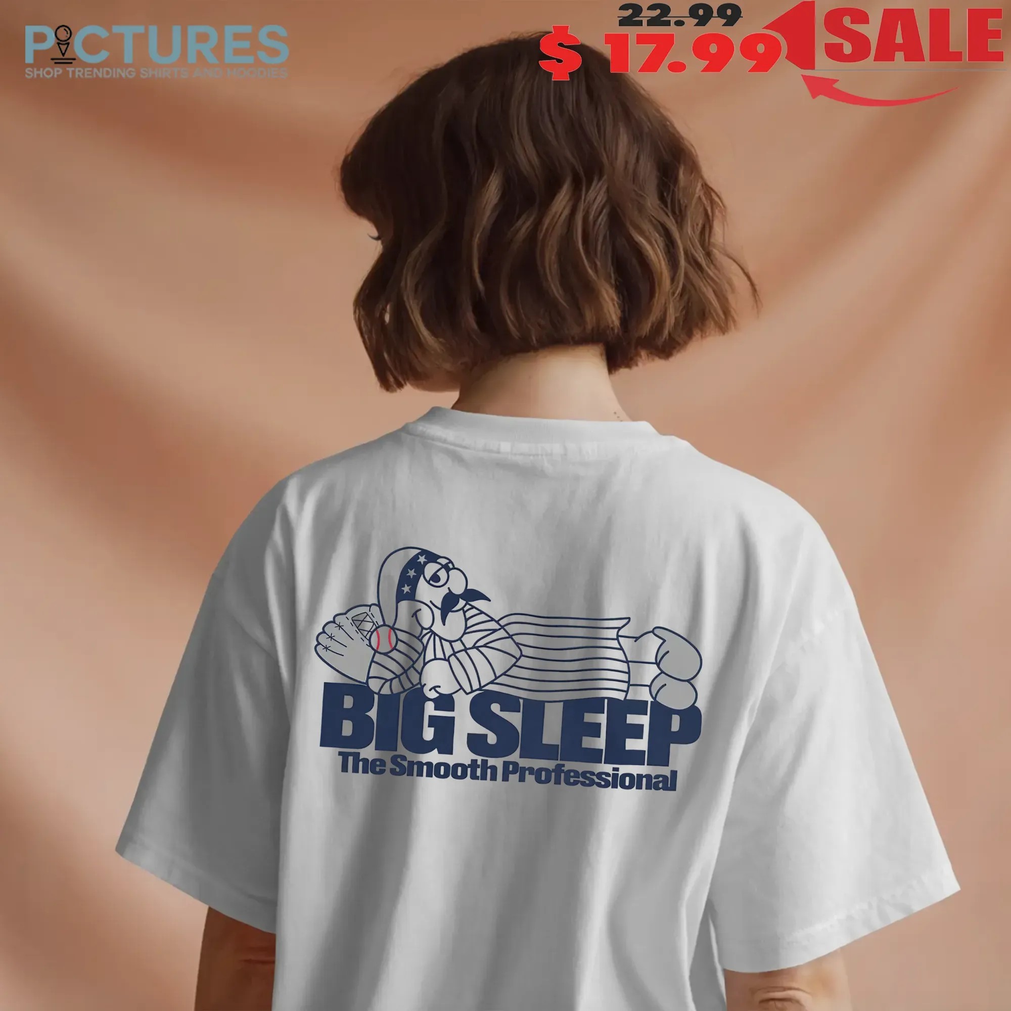 Big Sleep Summer Cartoon The Smooth Professional T Shirt
