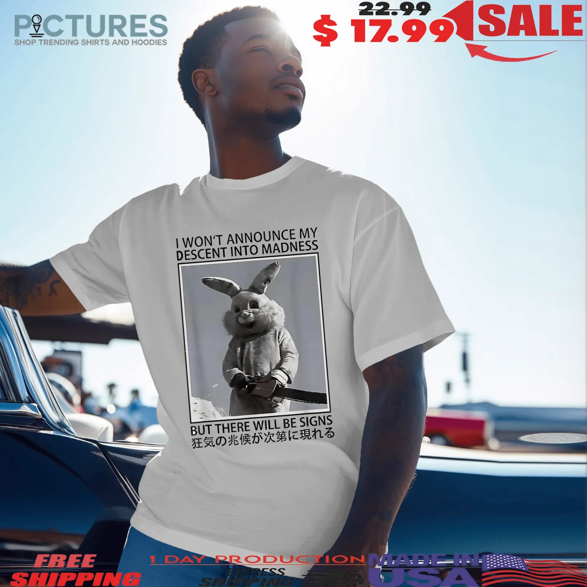 Rabbit I Won't Announce My Descent Into Madness But There Will Be Signs Meme T Shirt
