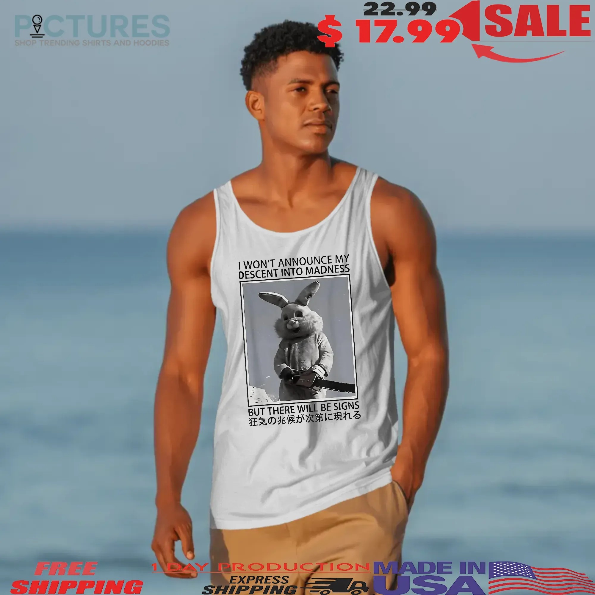 Rabbit I Won't Announce My Descent Into Madness But There Will Be Signs Meme T Shirt
