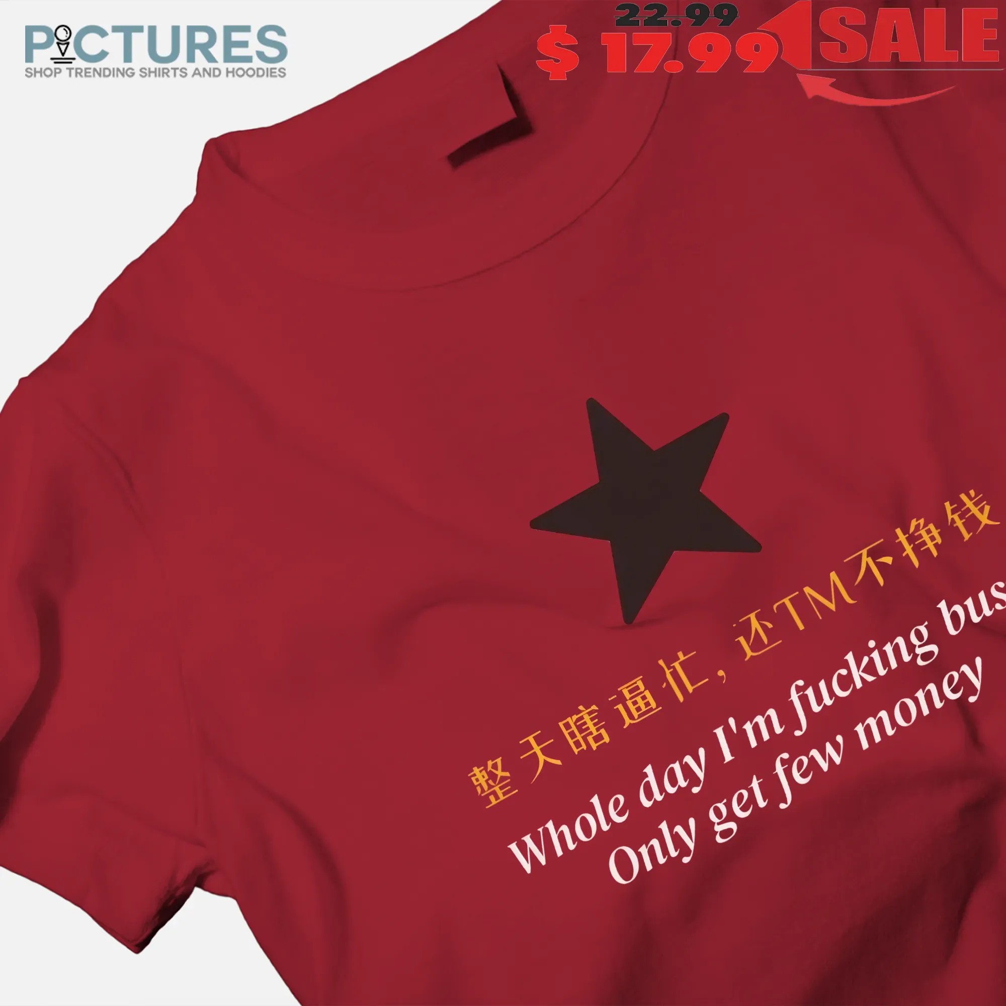 Whole Day I'm Fucking Busy Only Get Few Money T Shirt