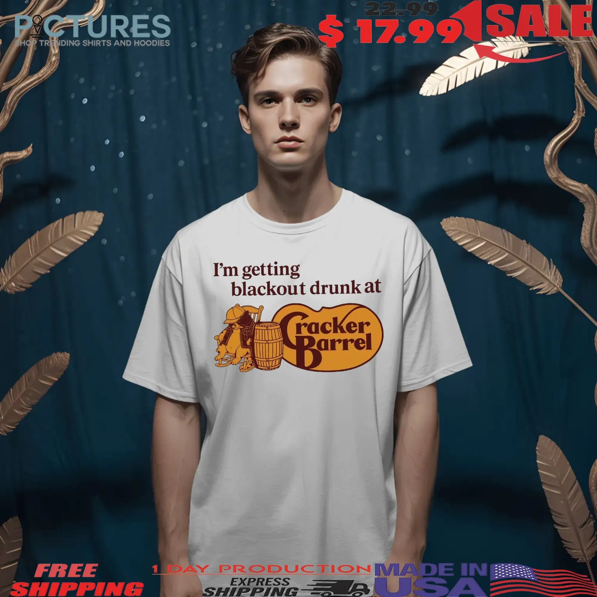 Cat I'm Getting Blackout Drunk At Cracker Barrel Parody Logo T Shirt