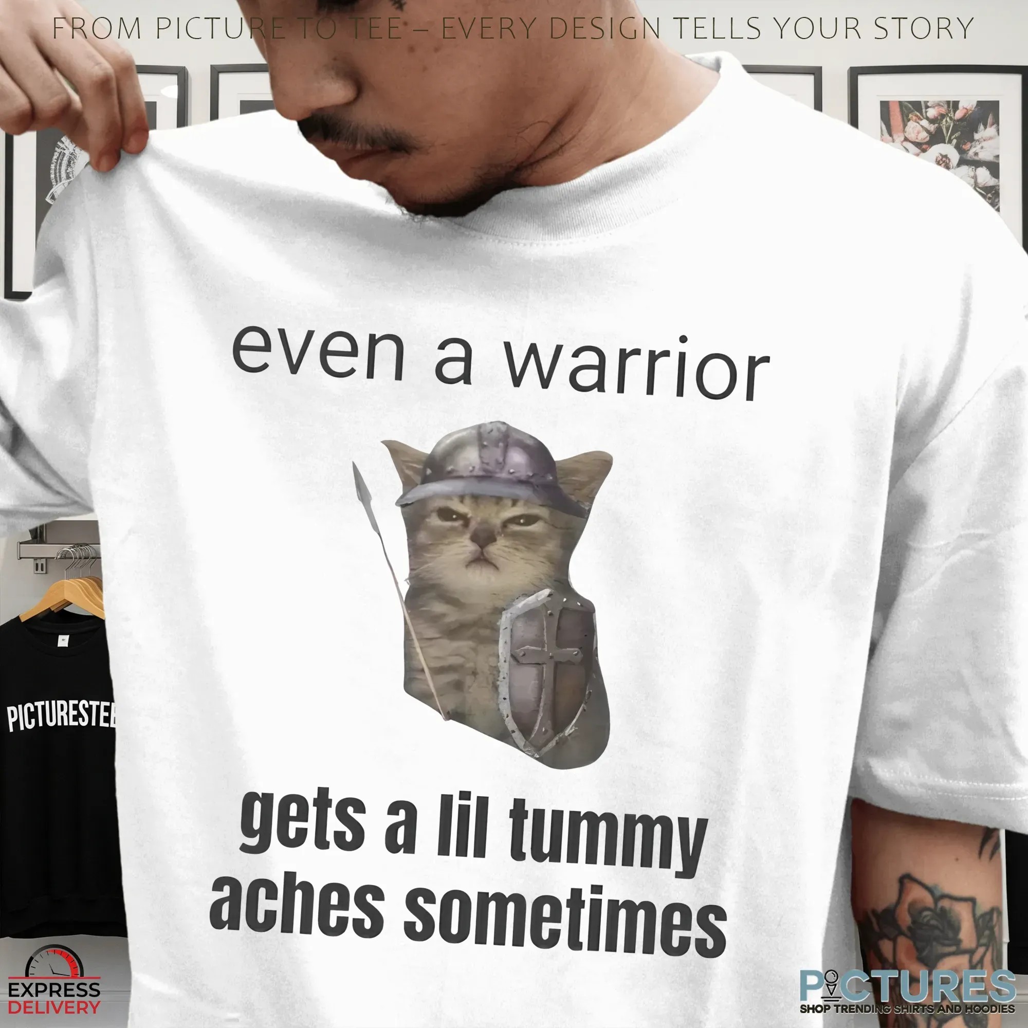 Even A Warrior Gets A Lil Tummy Aches Sometimes Cat Meme T Shirt