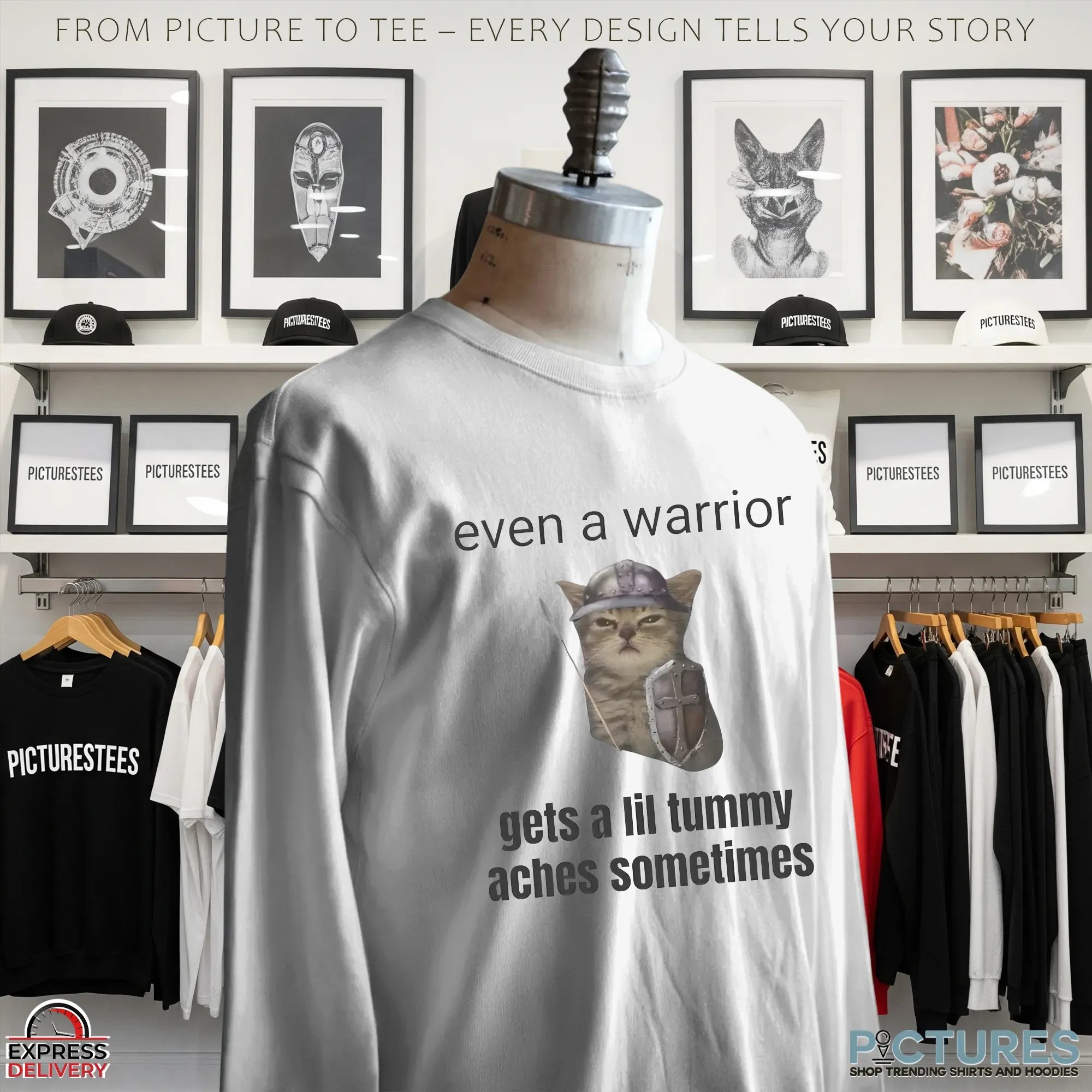 Even A Warrior Gets A Lil Tummy Aches Sometimes Cat Meme T Shirt