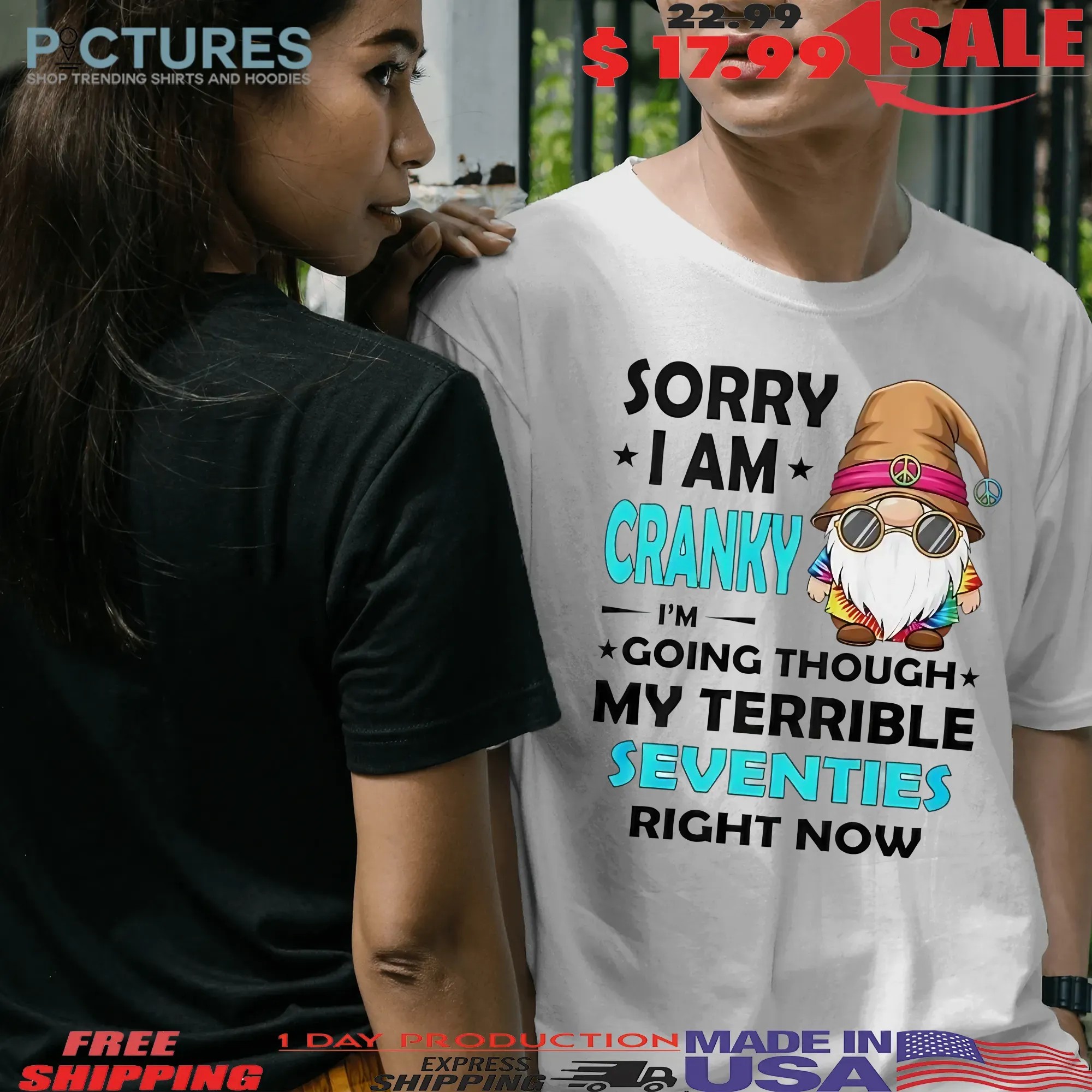 Gnome Sorry I Am Cranky I'm Going Through My Terrible Seventies T Shirt