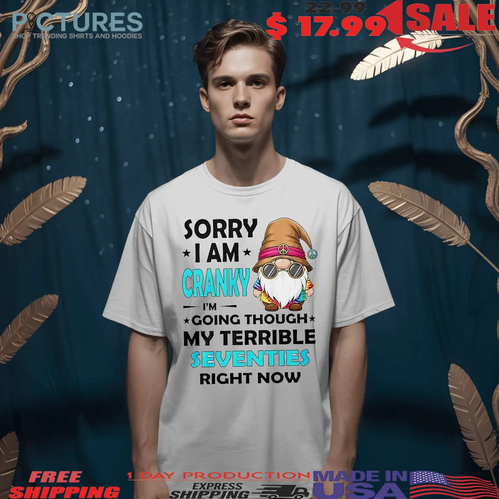 Gnome Sorry I Am Cranky I'm Going Through My Terrible Seventies T Shirt