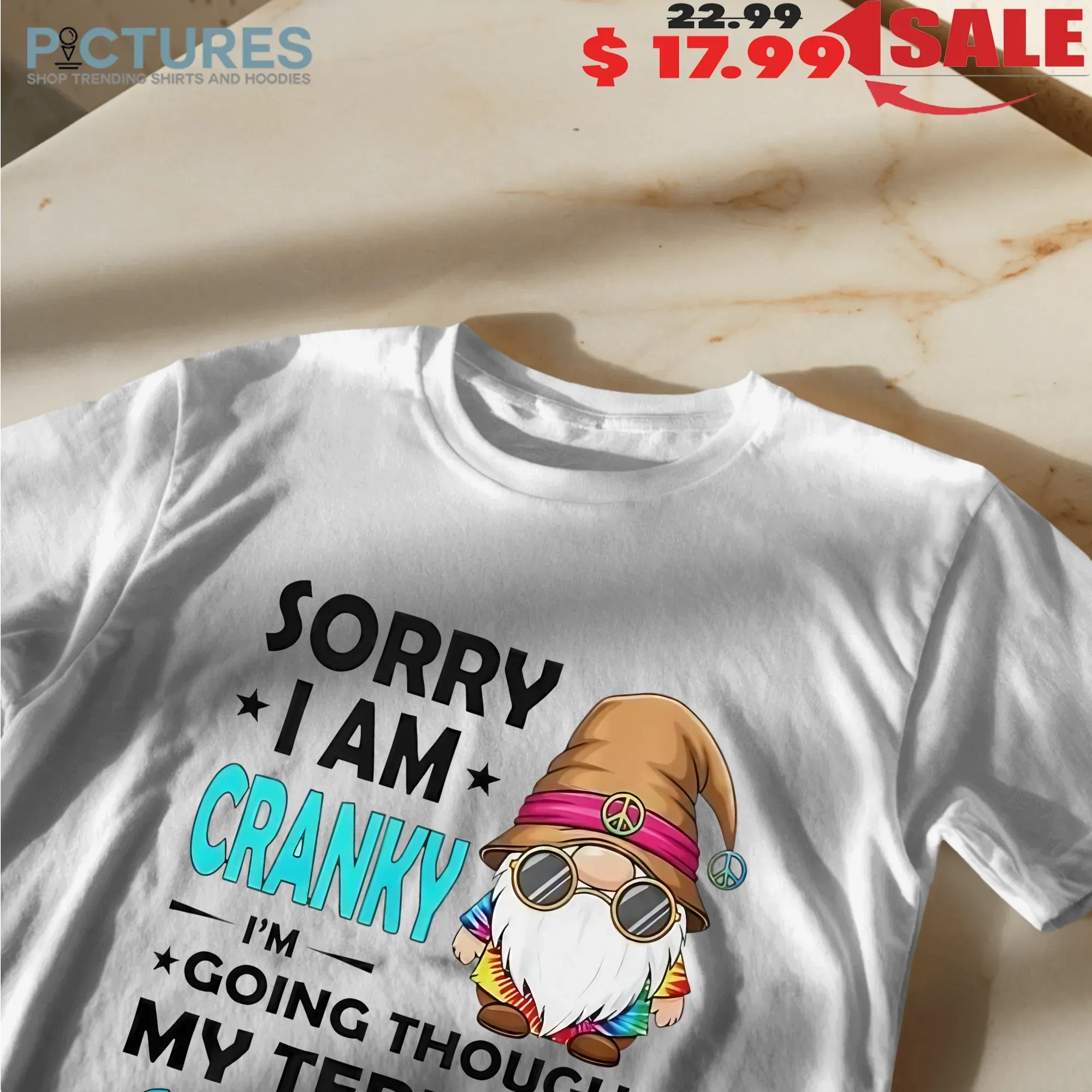 Gnome Sorry I Am Cranky I'm Going Through My Terrible Seventies T Shirt