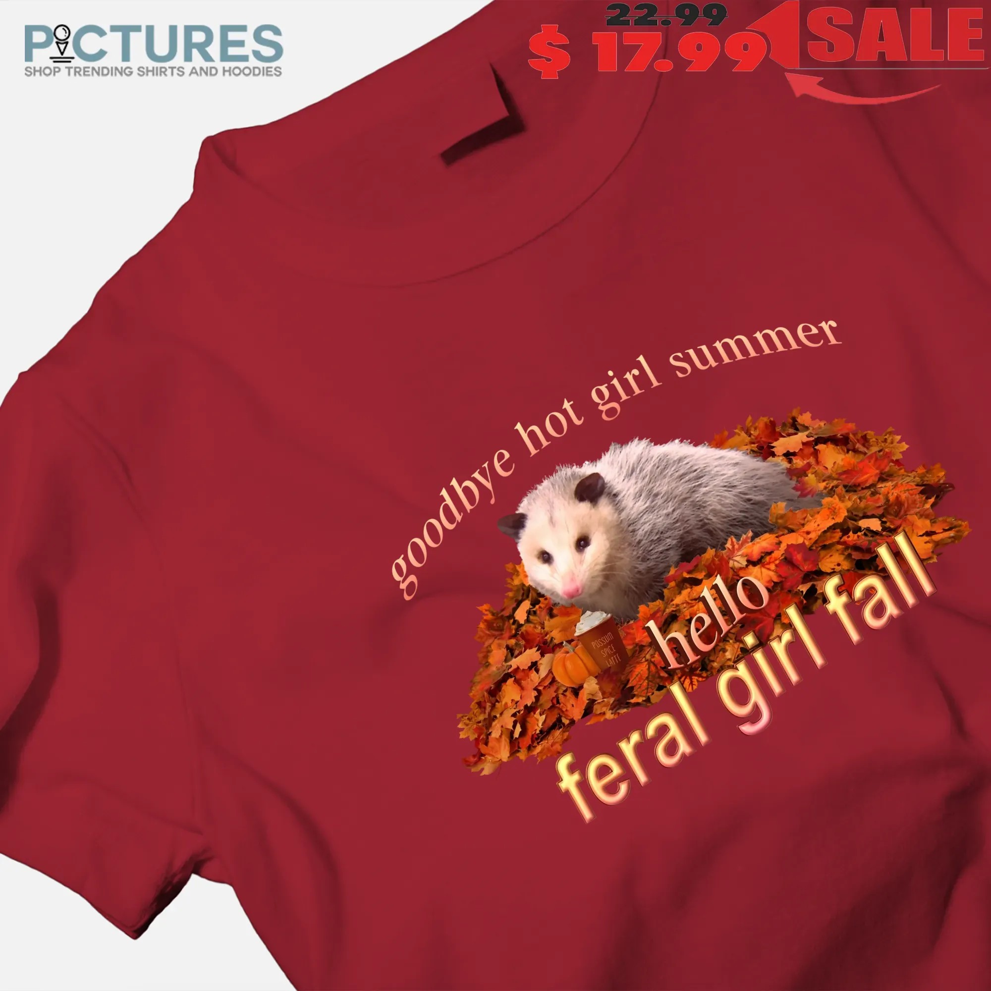 Goodbye Hot Girl Summer Hello Feral Girl Fall Autumn Possum T Shirt