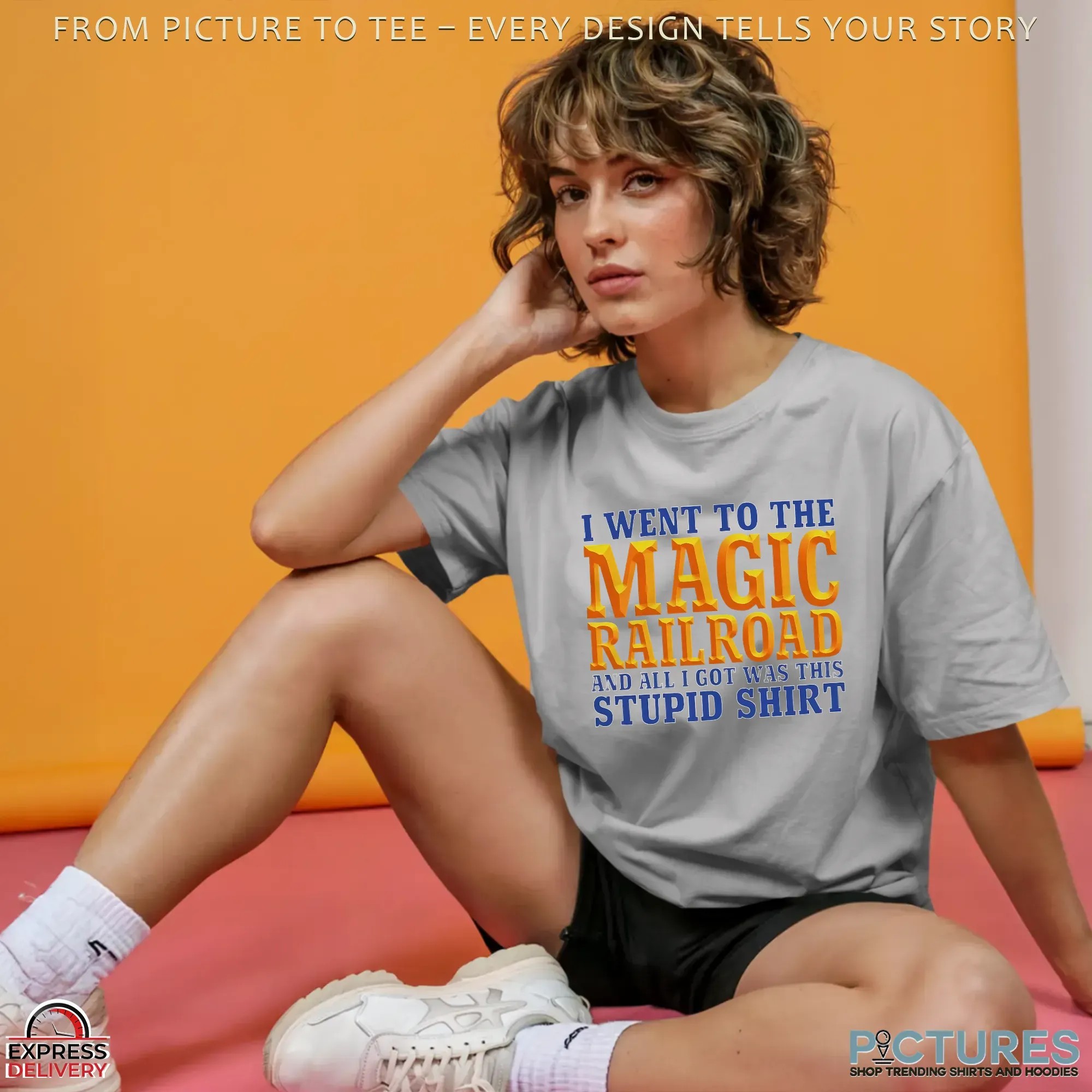 I Went To The Magic Railroad And All I Got Was This Stupid T Shirt