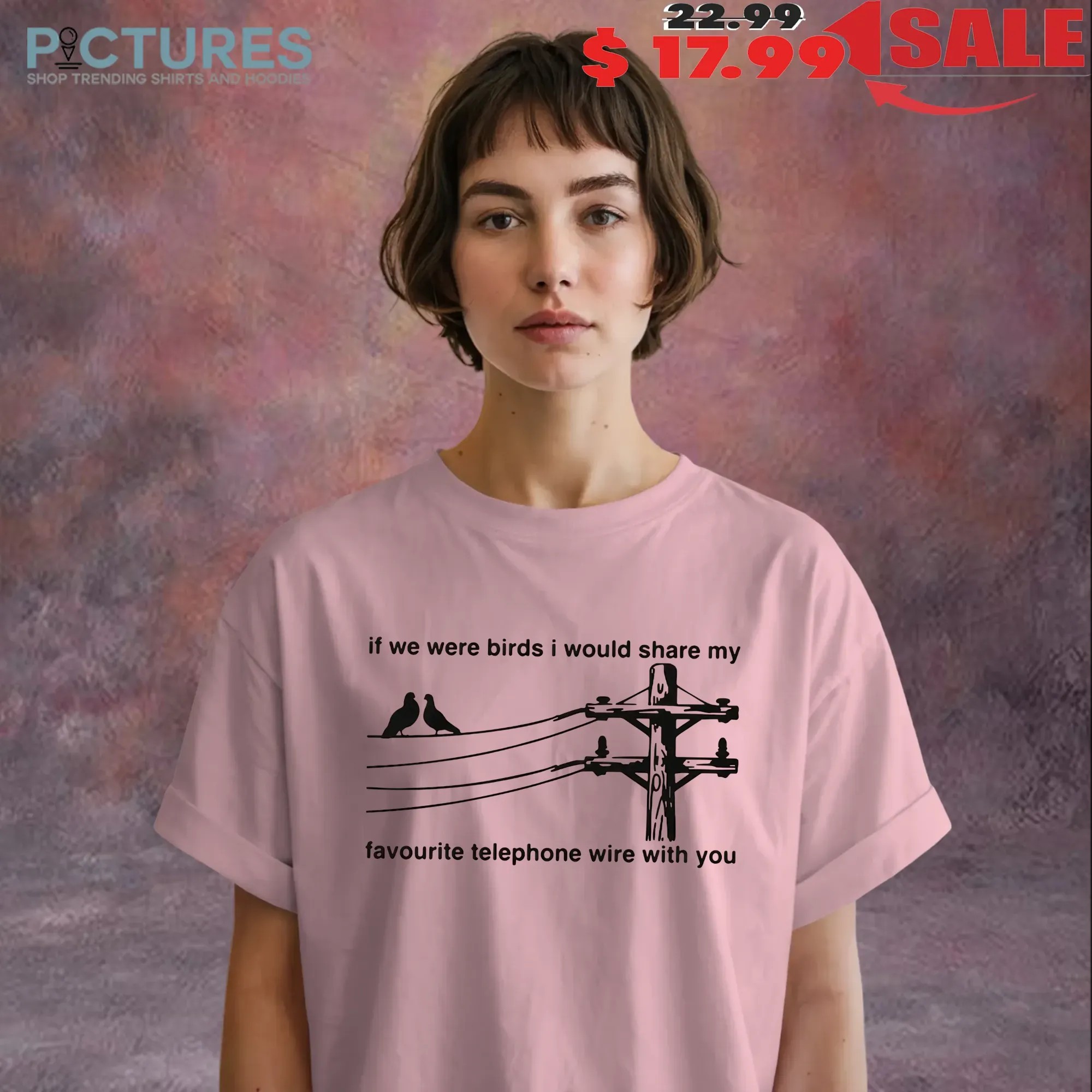 If We Were Birds I Would Share My Favourite Telephone Wire With You T Shirt