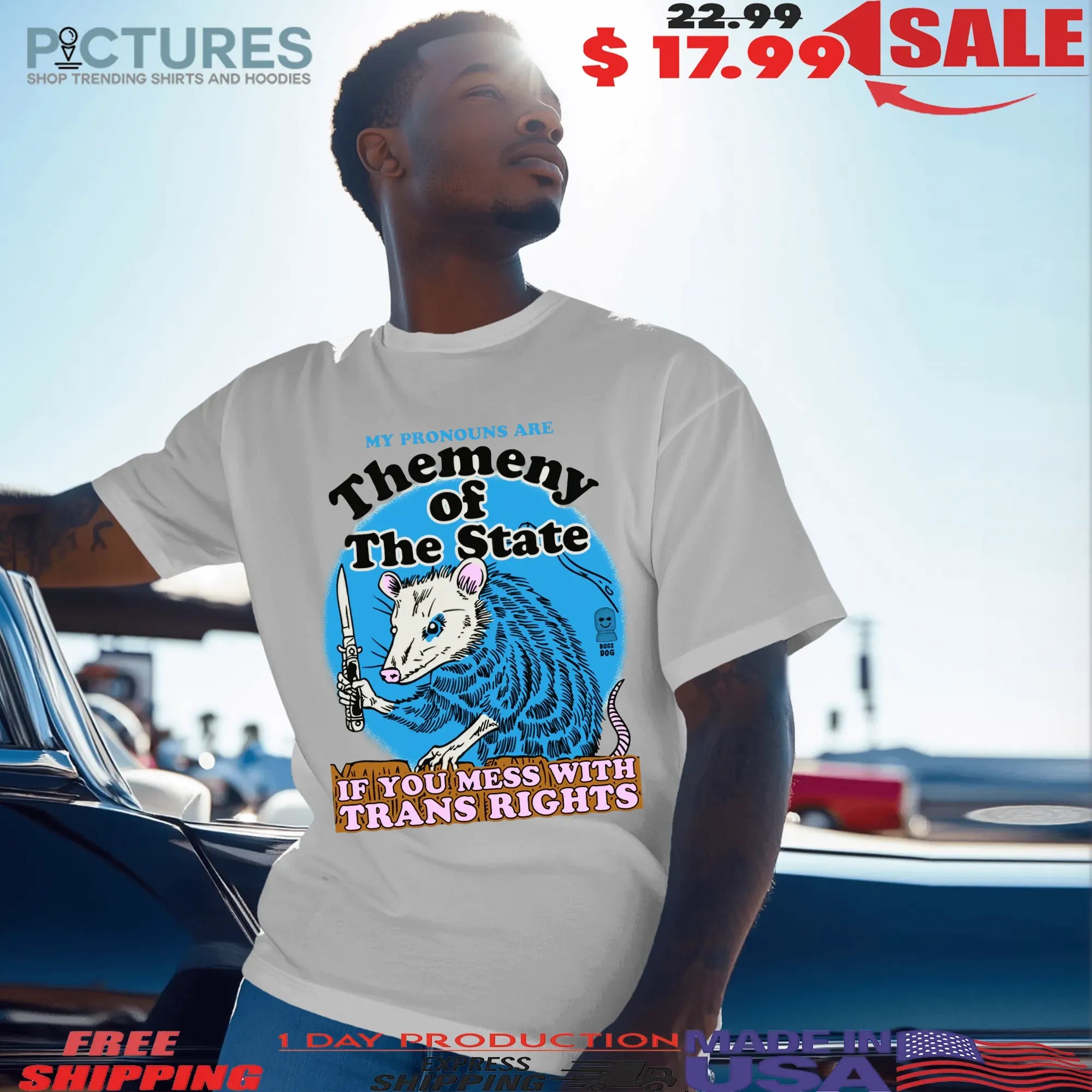 My Pronouns Are Themeny Of The State If You Mess With Trans Rights T Shirt