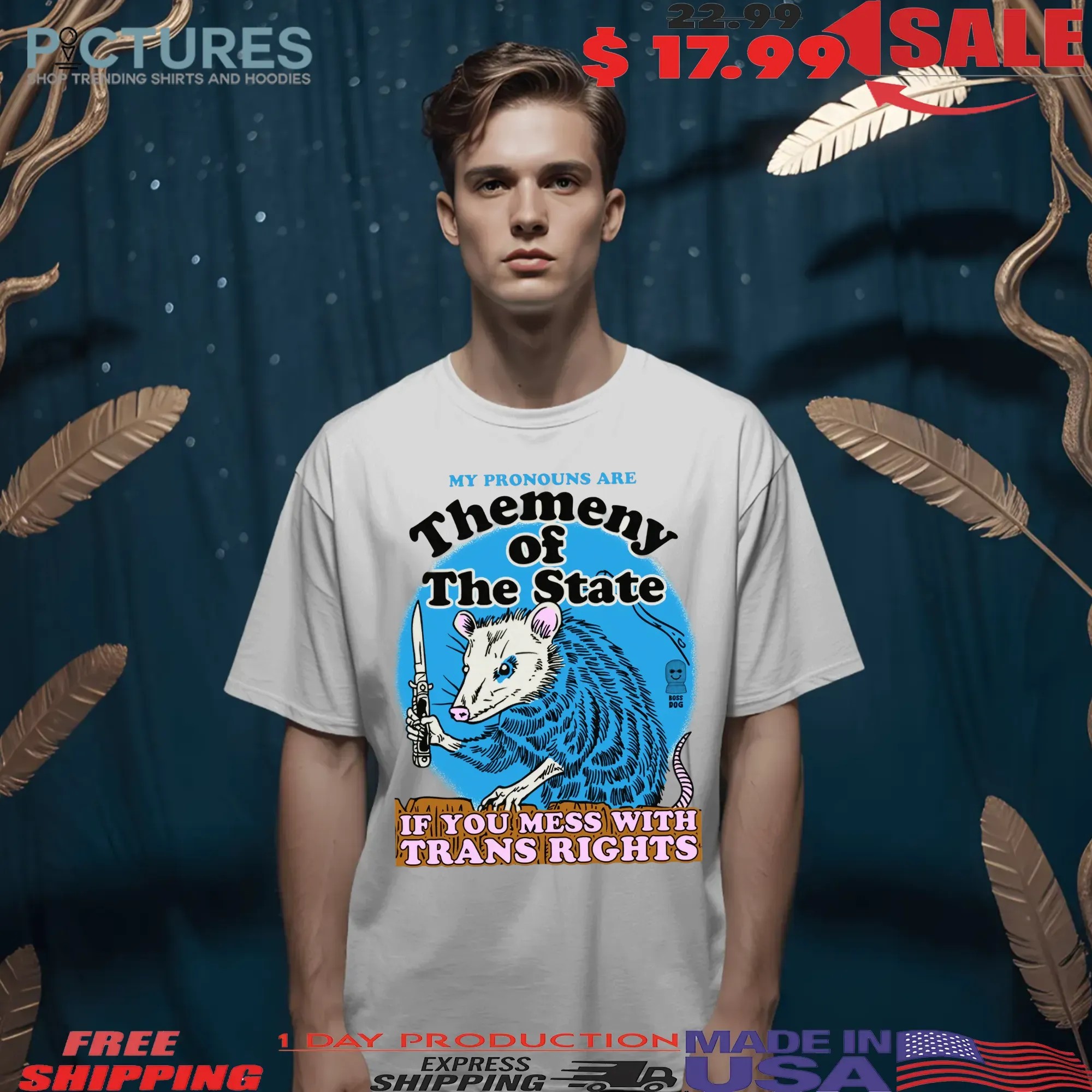 My Pronouns Are Themeny Of The State If You Mess With Trans Rights T Shirt