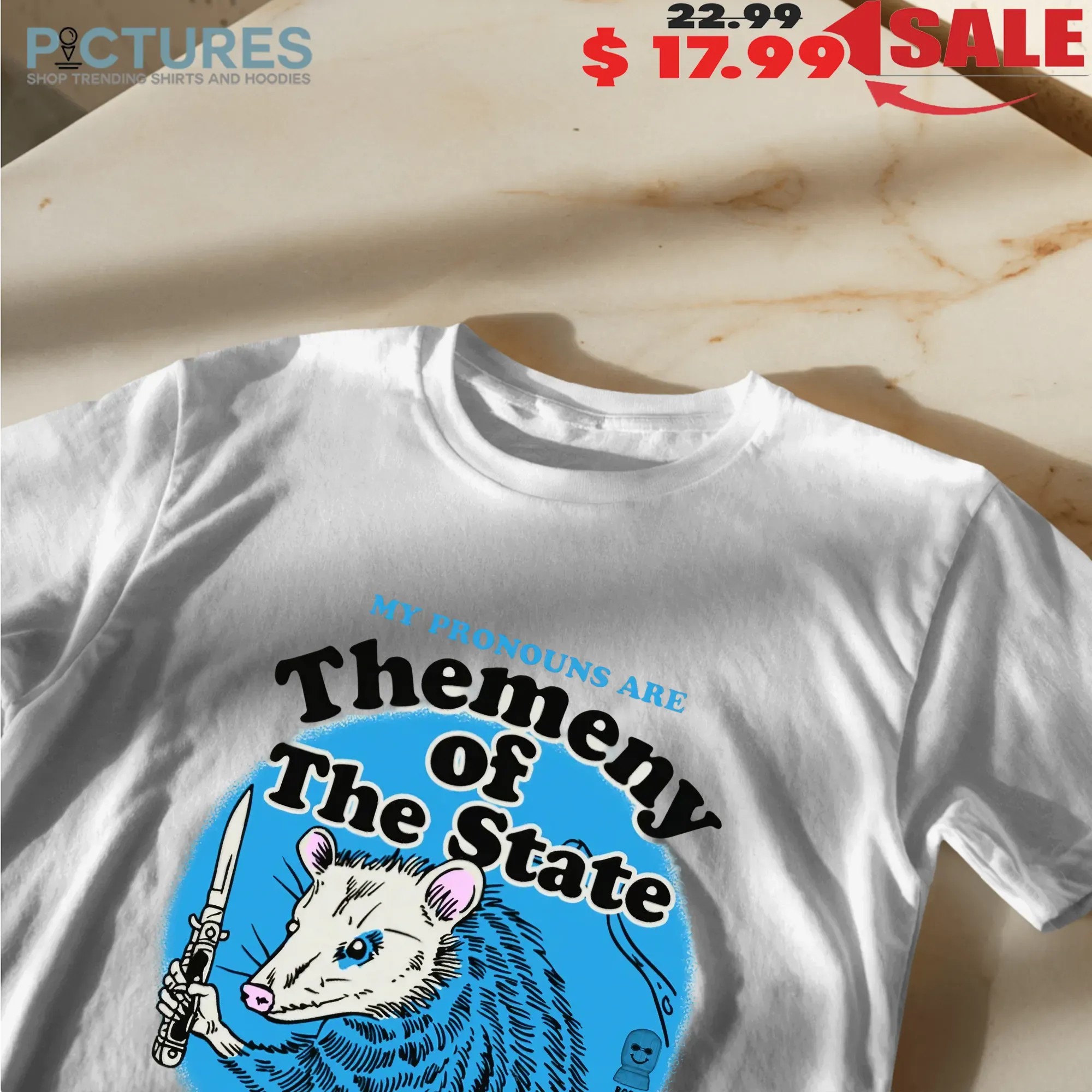 My Pronouns Are Themeny Of The State If You Mess With Trans Rights T Shirt