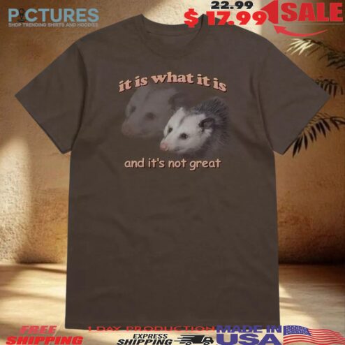 Possum It Is What It Is And It's Not Great T Shirt