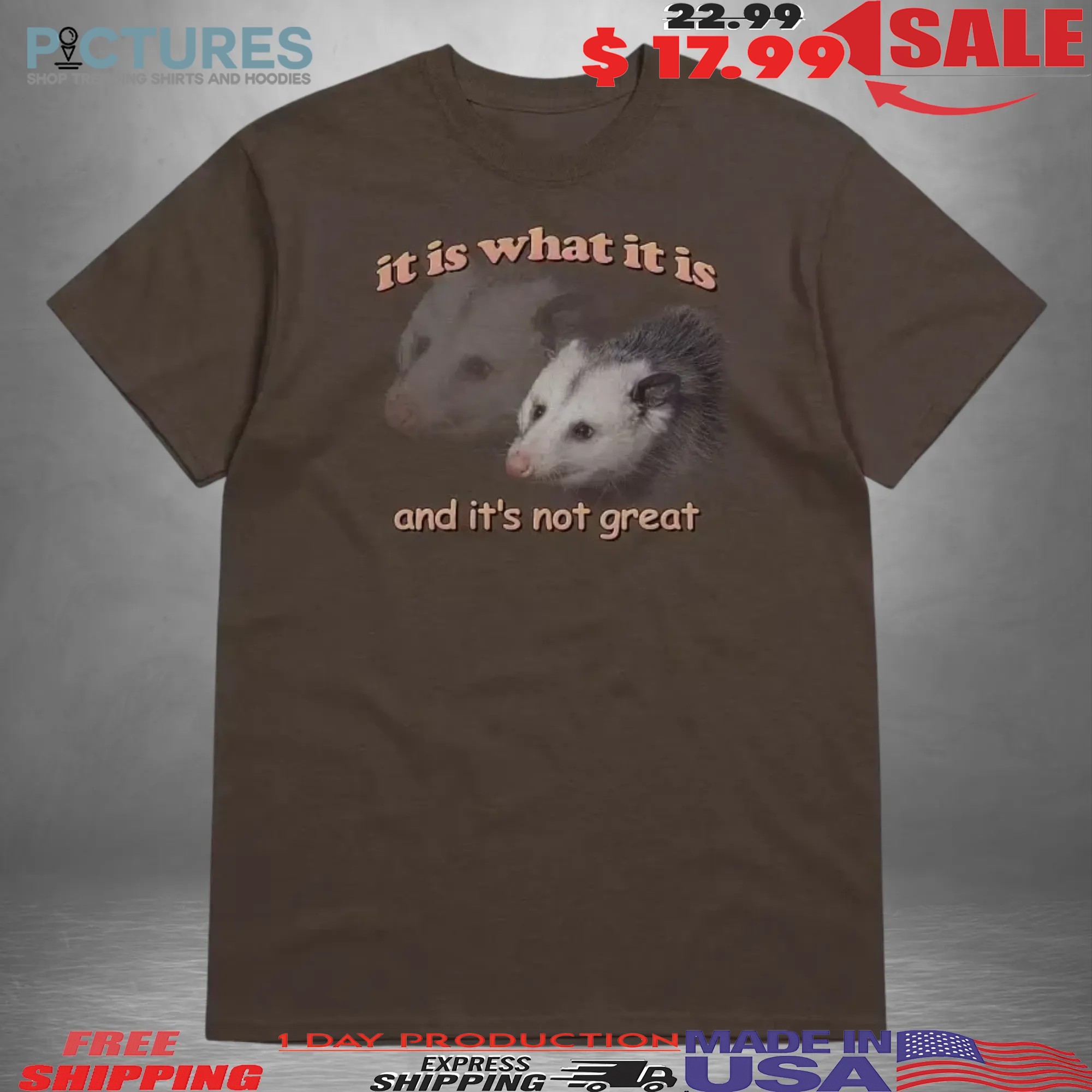 Possum It Is What It Is And It's Not Great T Shirt
