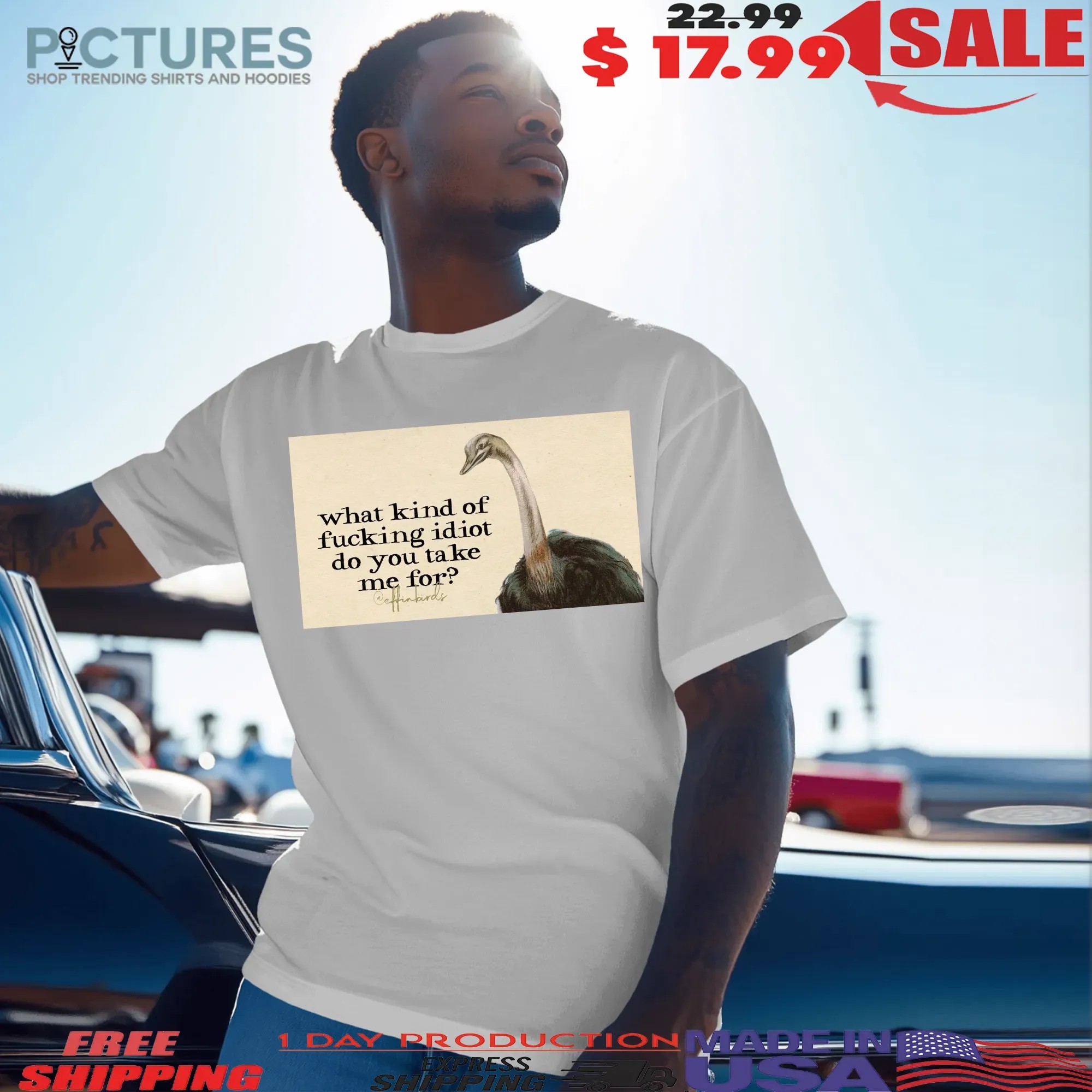 What Kind Of Fucking Idiot Do You Take Me For T Shirt