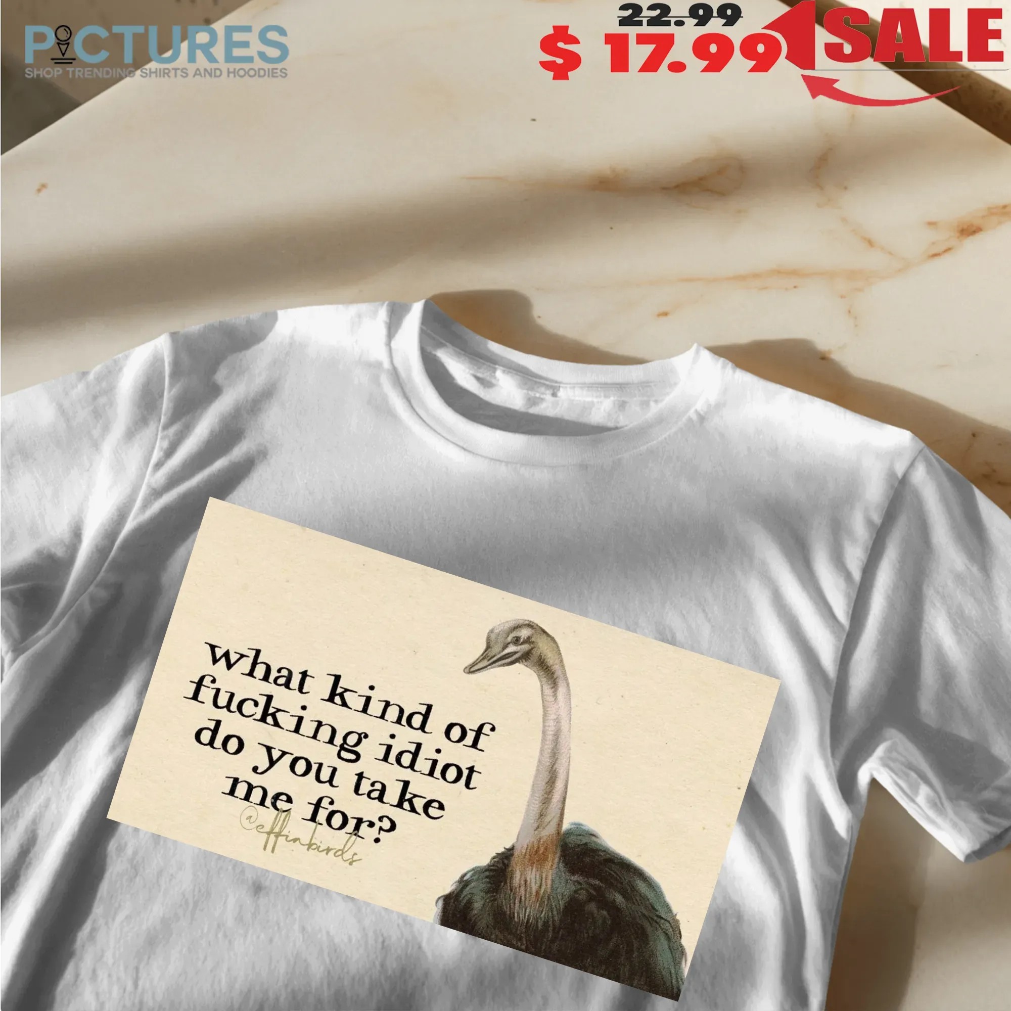 What Kind Of Fucking Idiot Do You Take Me For T Shirt