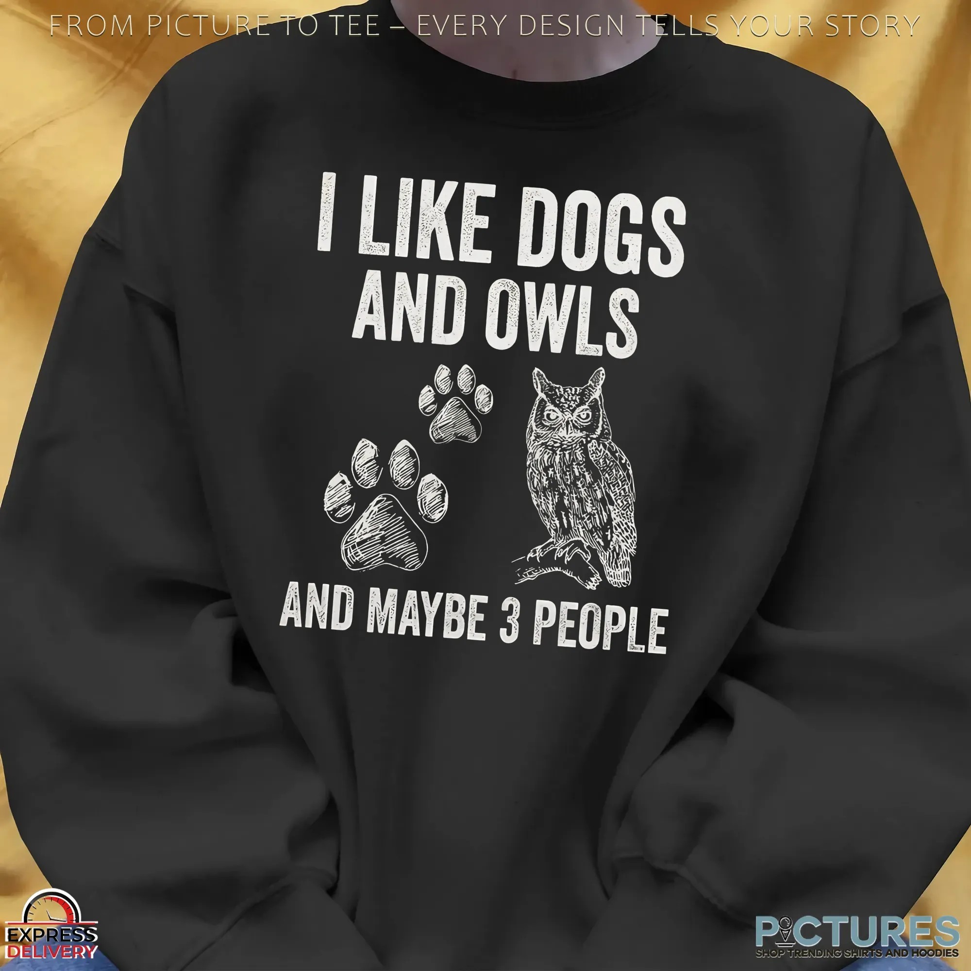 I Like Dogs And Owls And Maybe 3 People T Shirt
