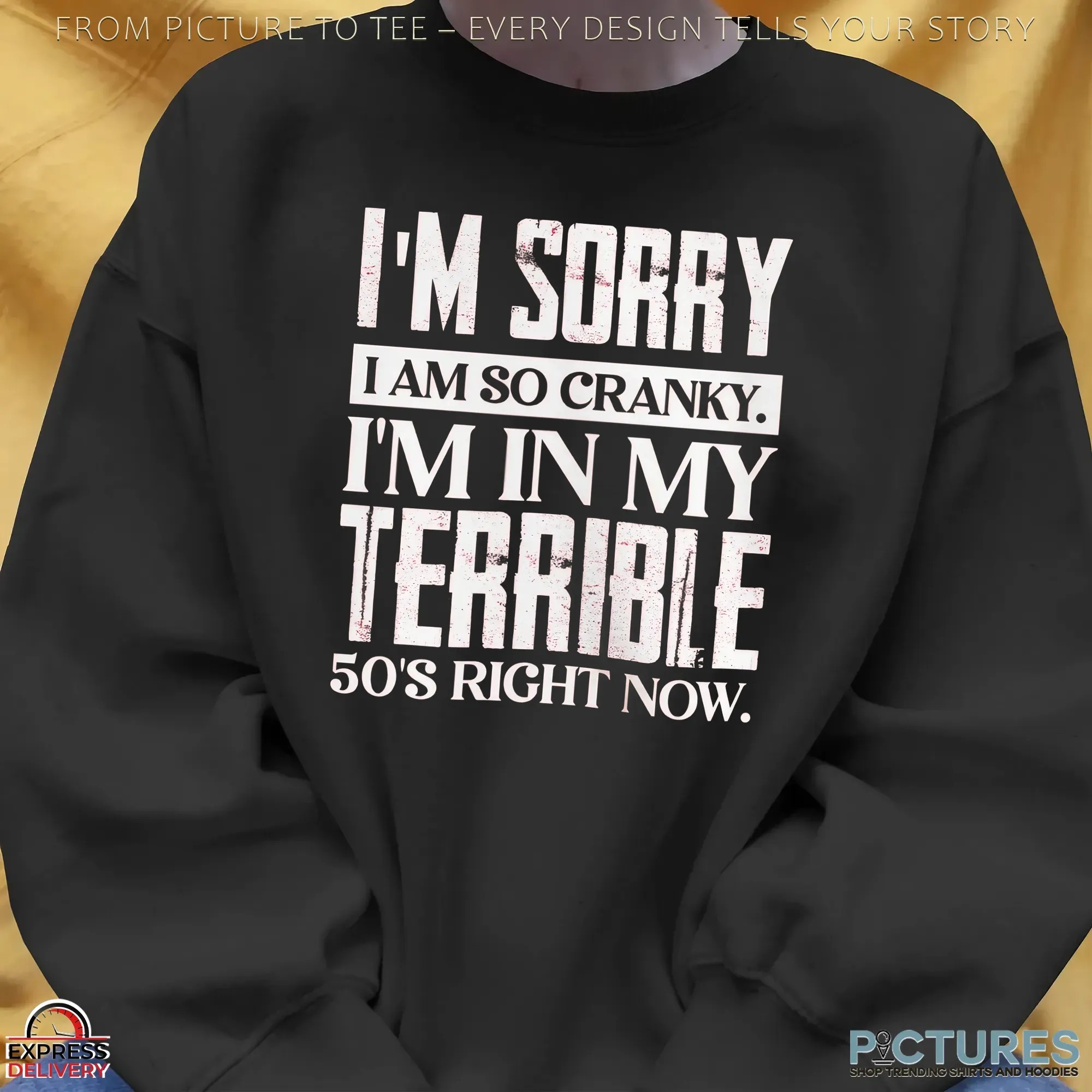 I'm Sorry I Am So Cranky I'm In My Terrible 50's Right Now T Shirt