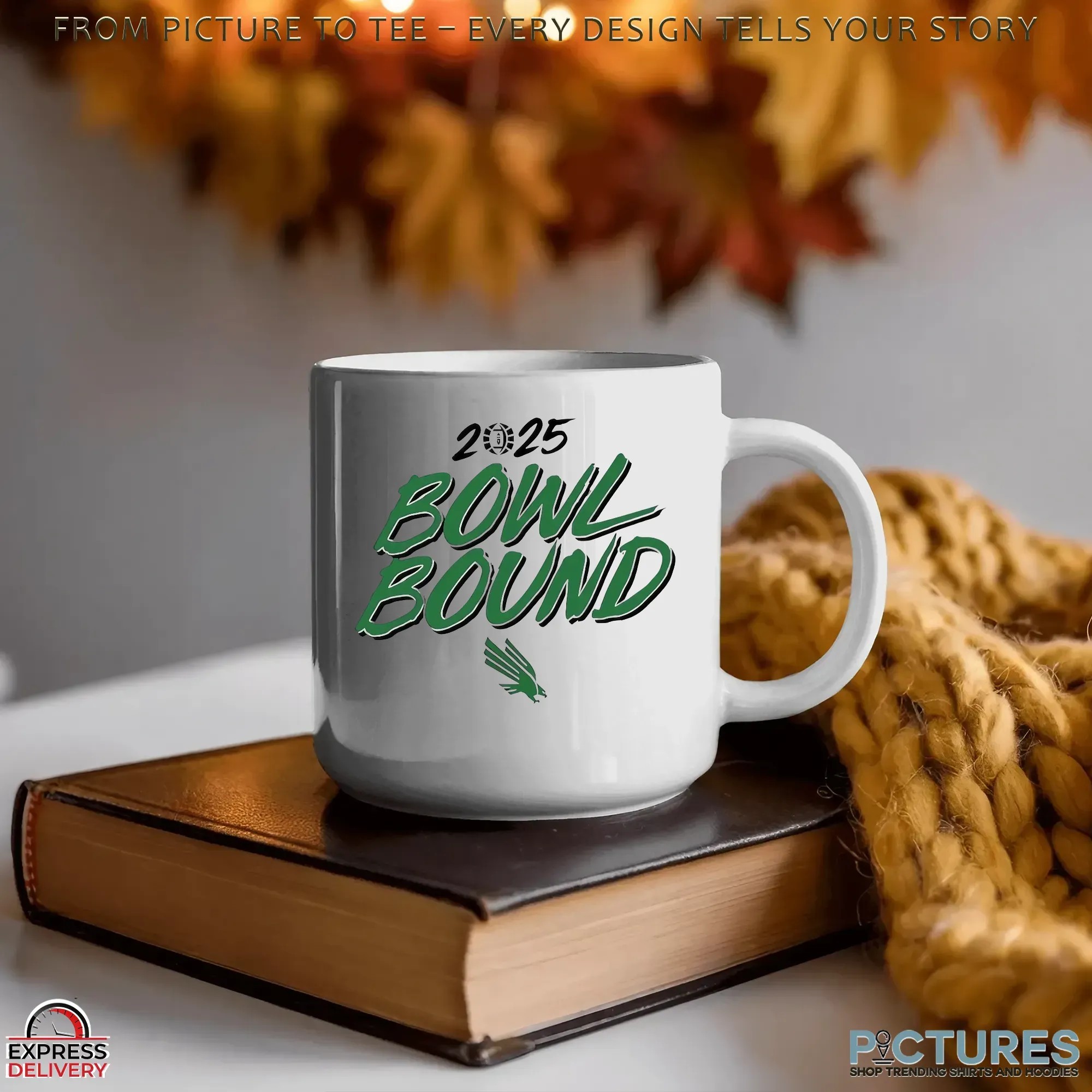 North Texas Mean Green Football 2025 Bowl Bound T Shirt