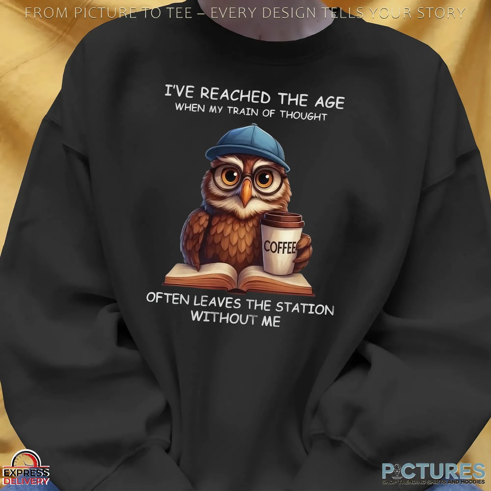 Owl Meme I Have Reached The Age When My Train Of Thought Often Leaves The Station Without Me T Shirt Owl Meme I Have Reached The Age When My Train Of Thought Often Leaves The Station Without Me T Shirt