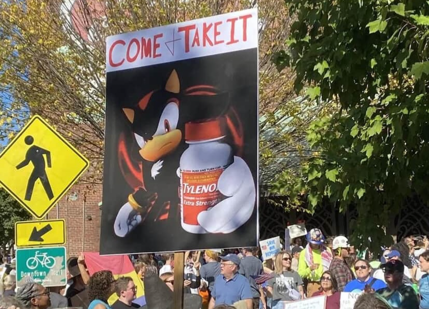 The Internet's Favorite Aching Anti-Hero: Decoding Shadow's Tylenol 1 Picturestees Customized Gifts