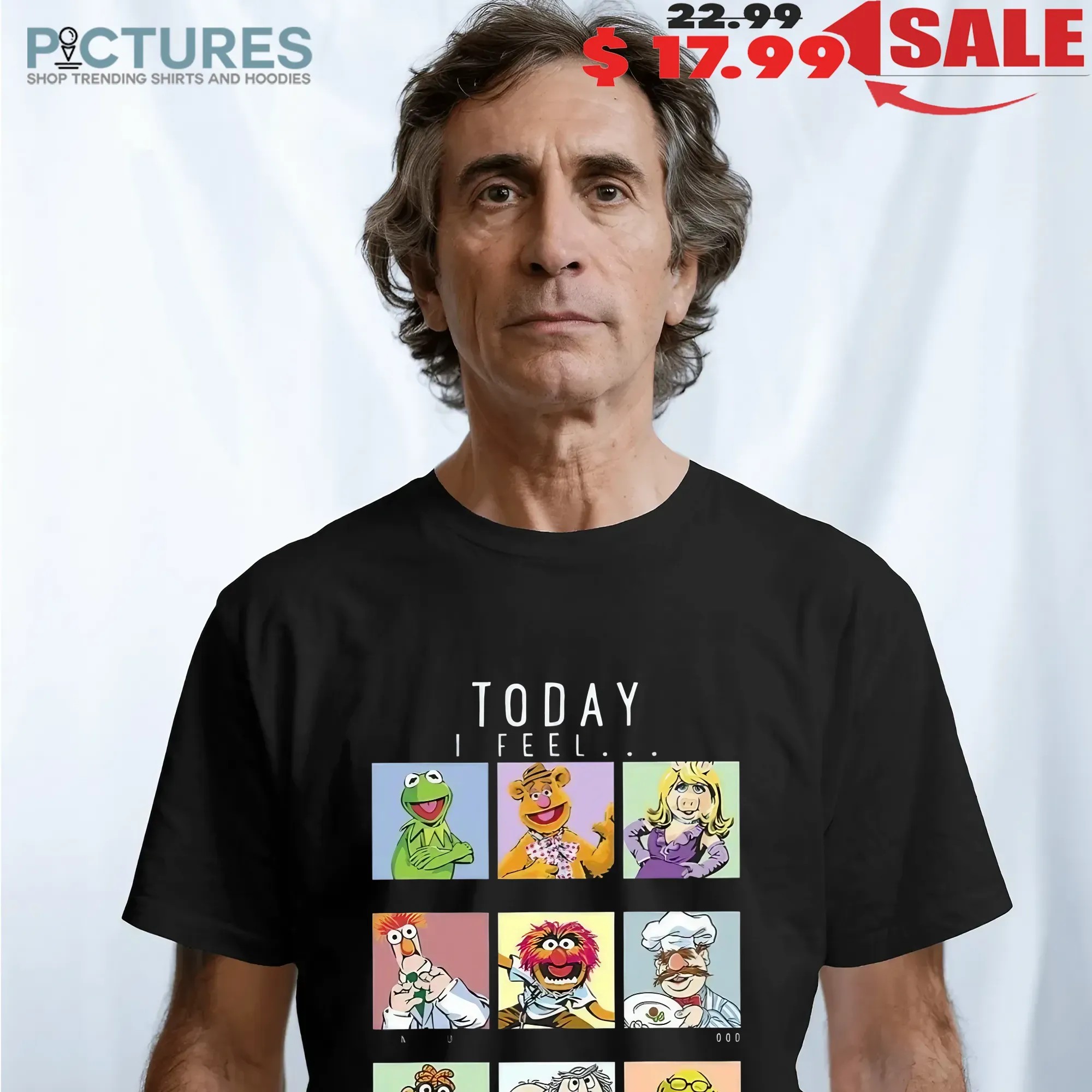 Today I Feel The Muppets T-Shirt – Funny Disney Character Mood Box Tee