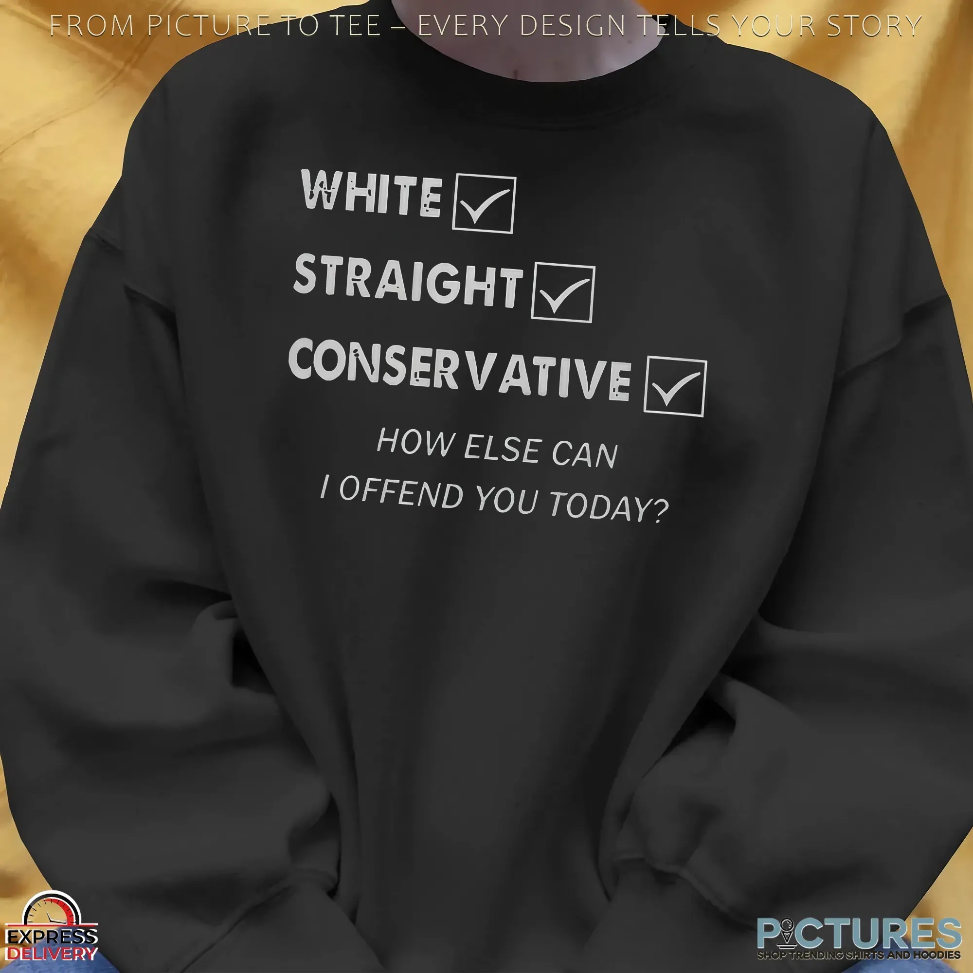 White Straight Conservative How Else Can I Offend You Today Identity Statement T Shirt